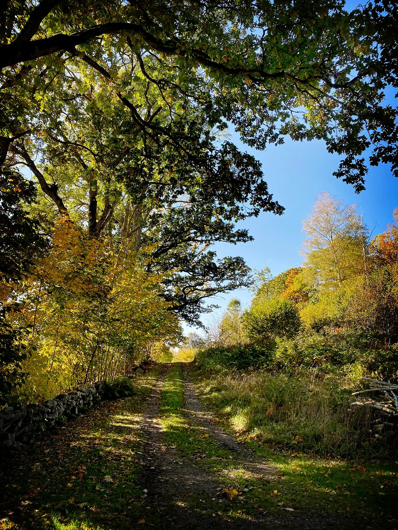 blogg-251011ambjorntorphemmafix3.jpg