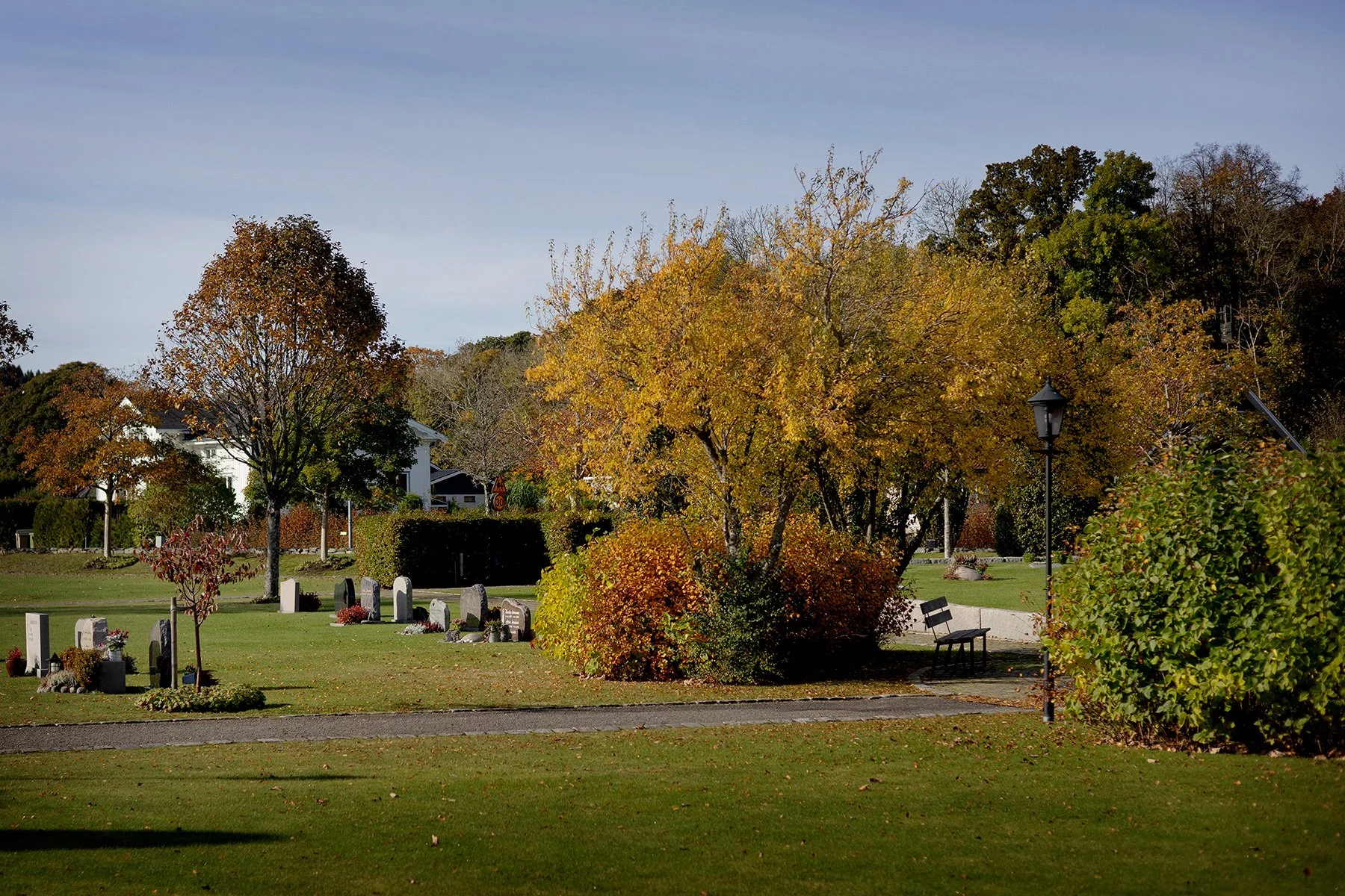 blogg-251013ettarsenmammadog6.jpg