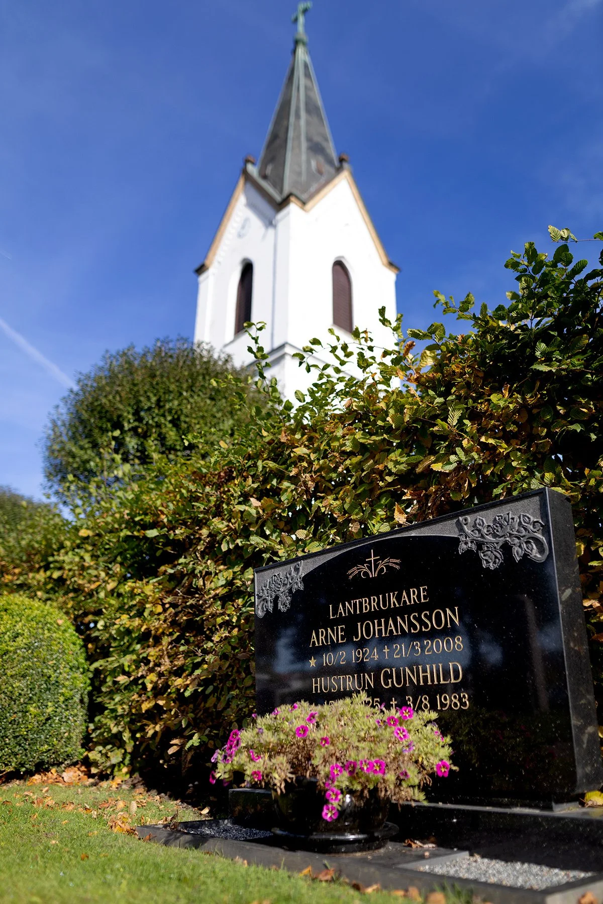 blogg-251013ettarsenmammadog7.jpg