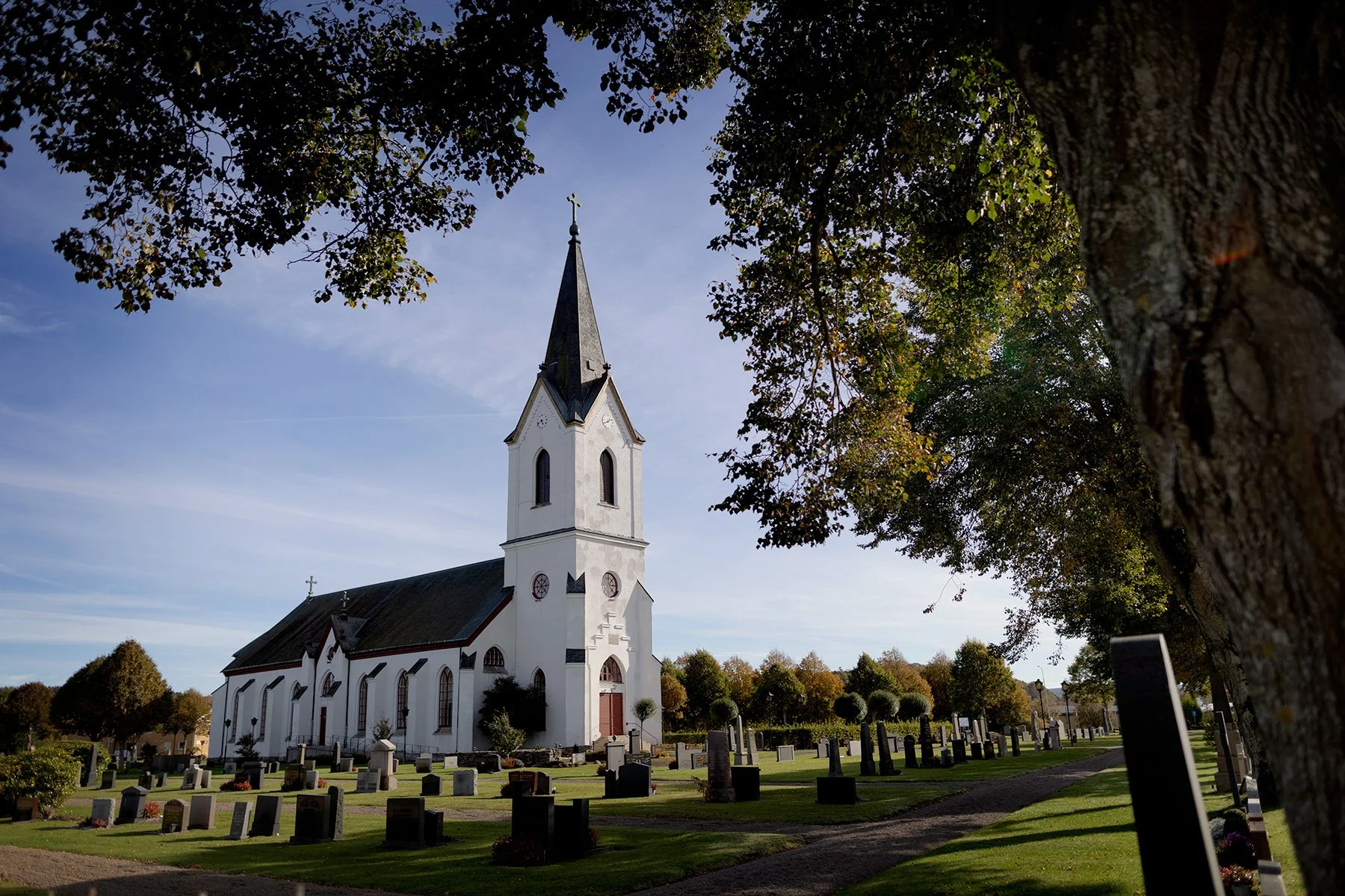 blogg-251013ettarsenmammadog10.jpg