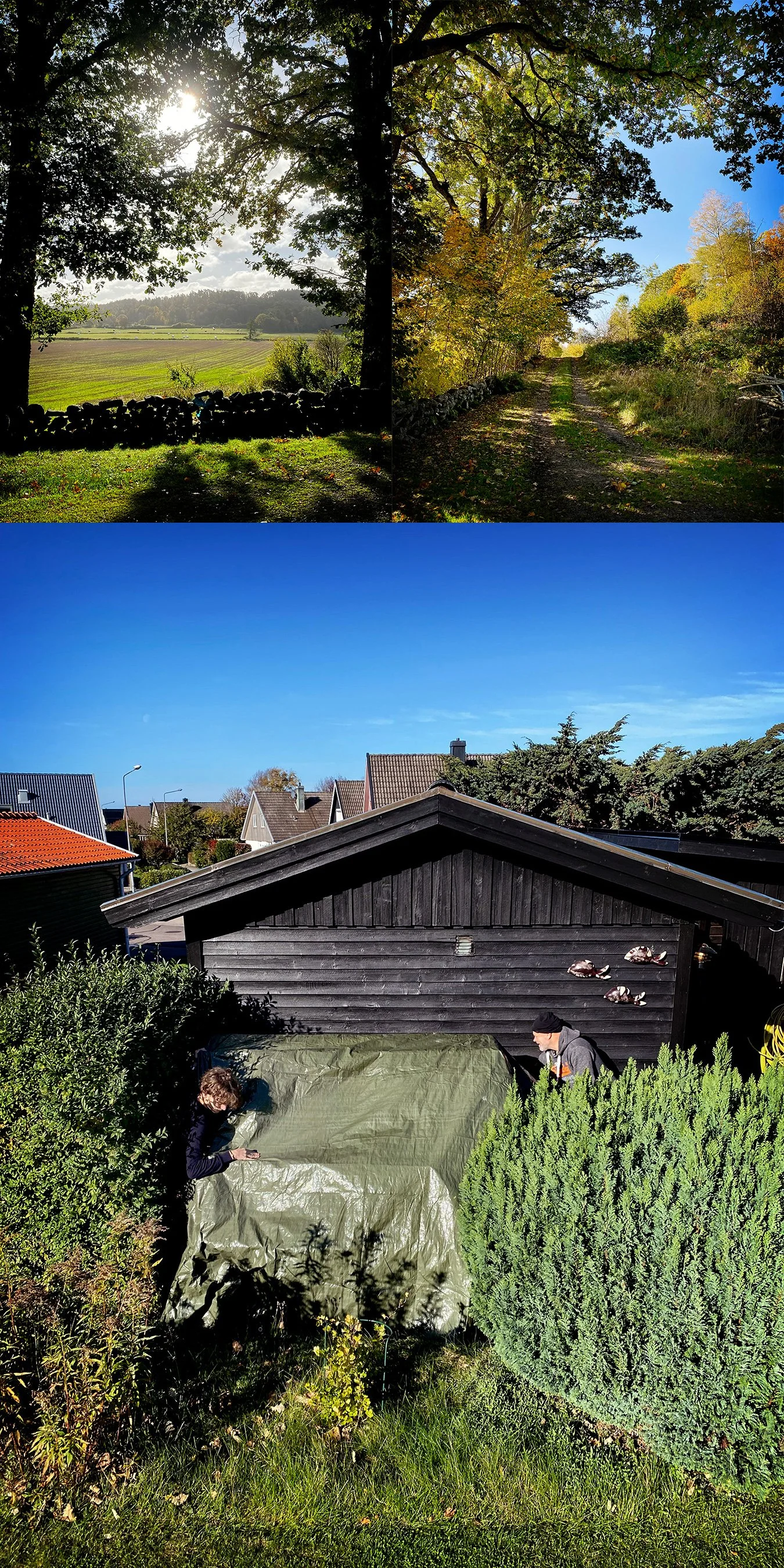 Hemmafix i höstsommar