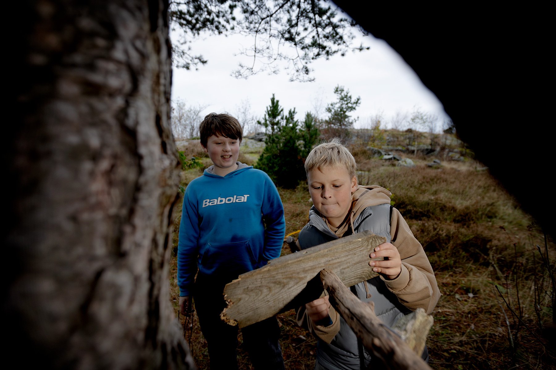 blogg-251015kojaiskolskogen1.jpg