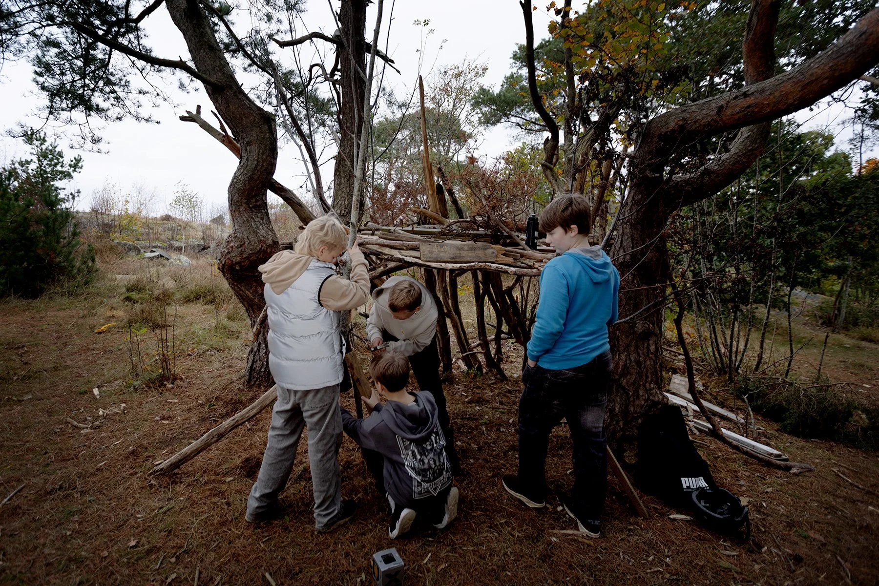 blogg-251015kojaiskolskogen6.jpg