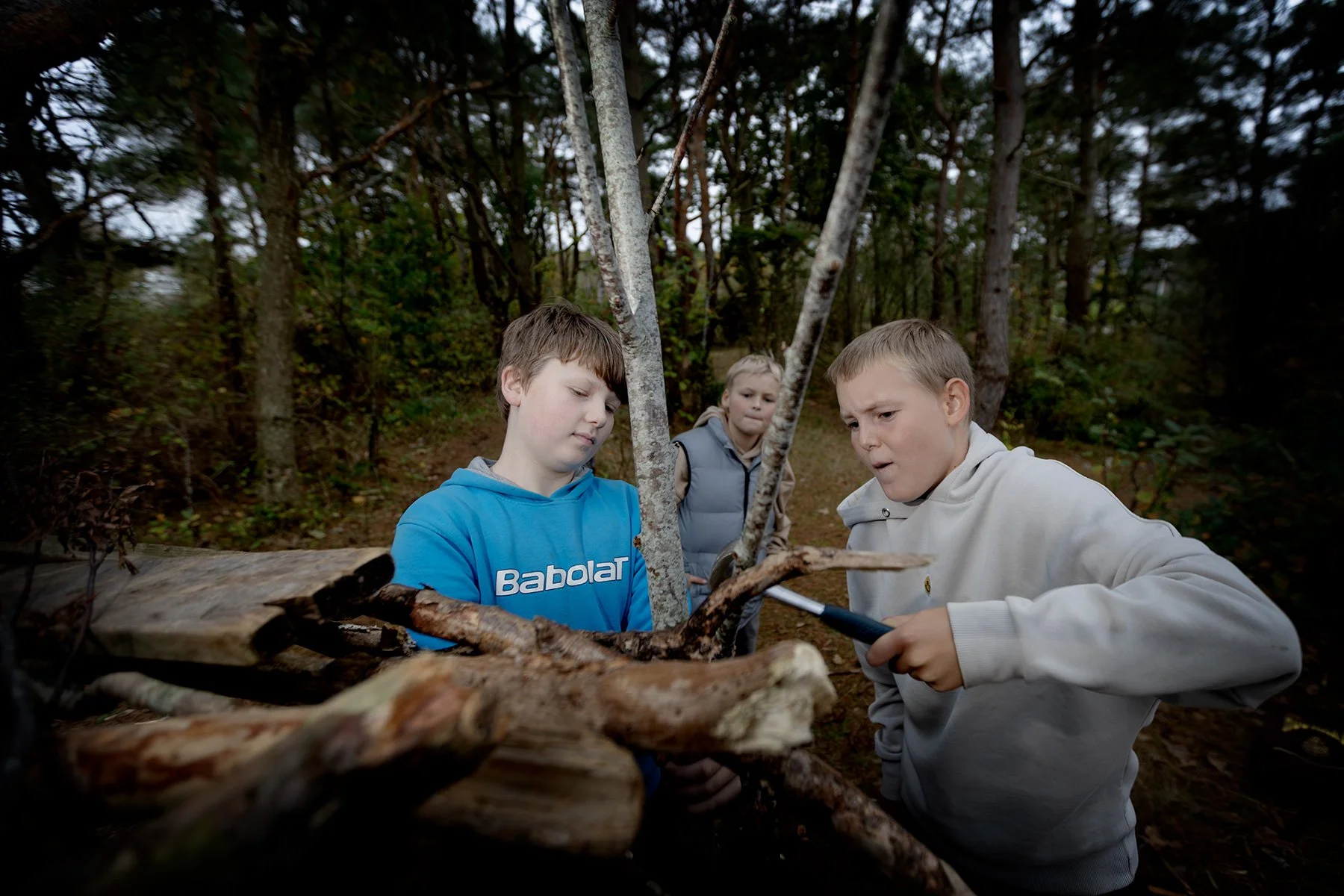 blogg-251015kojaiskolskogen7.jpg