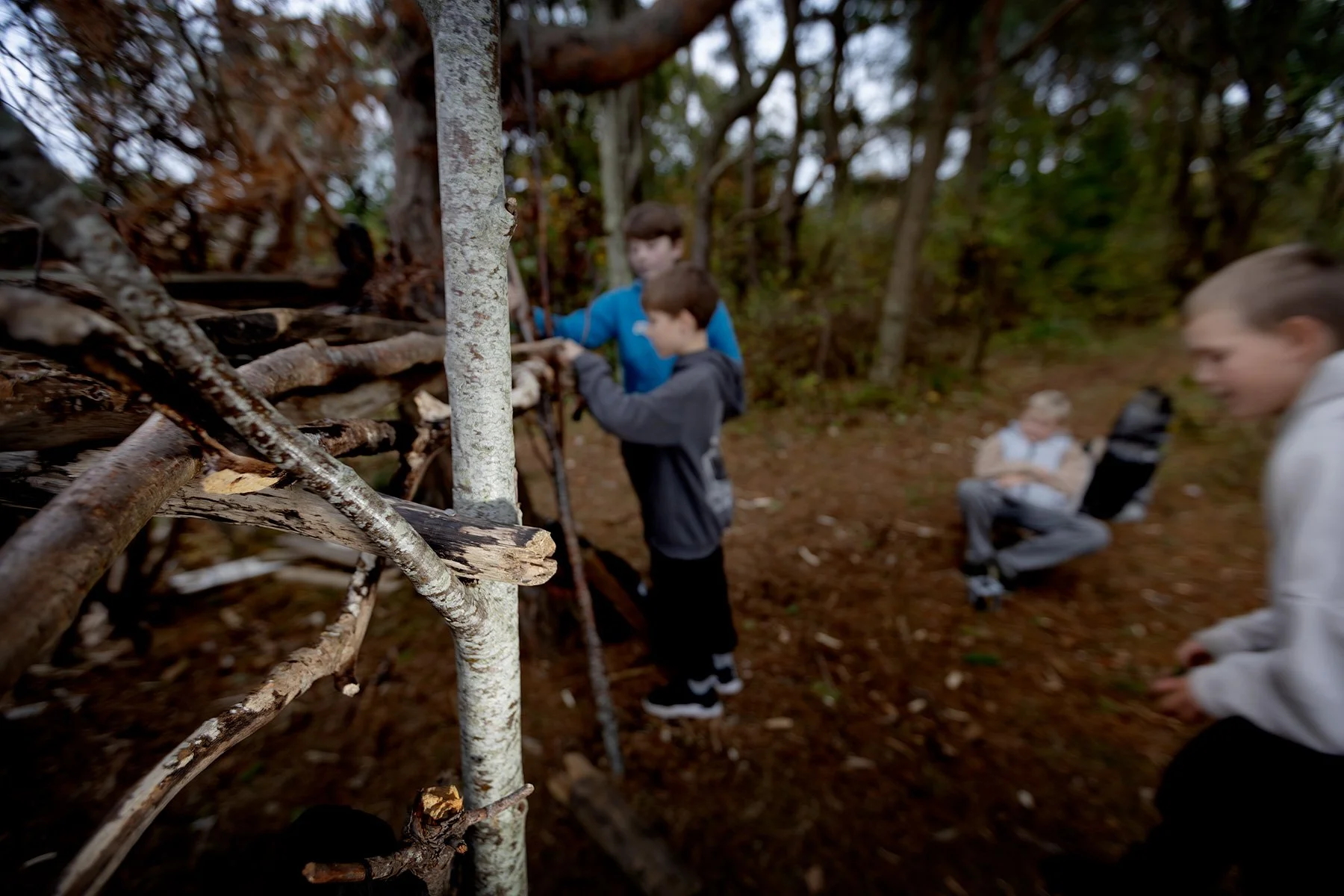 blogg-251015kojaiskolskogen8.jpg
