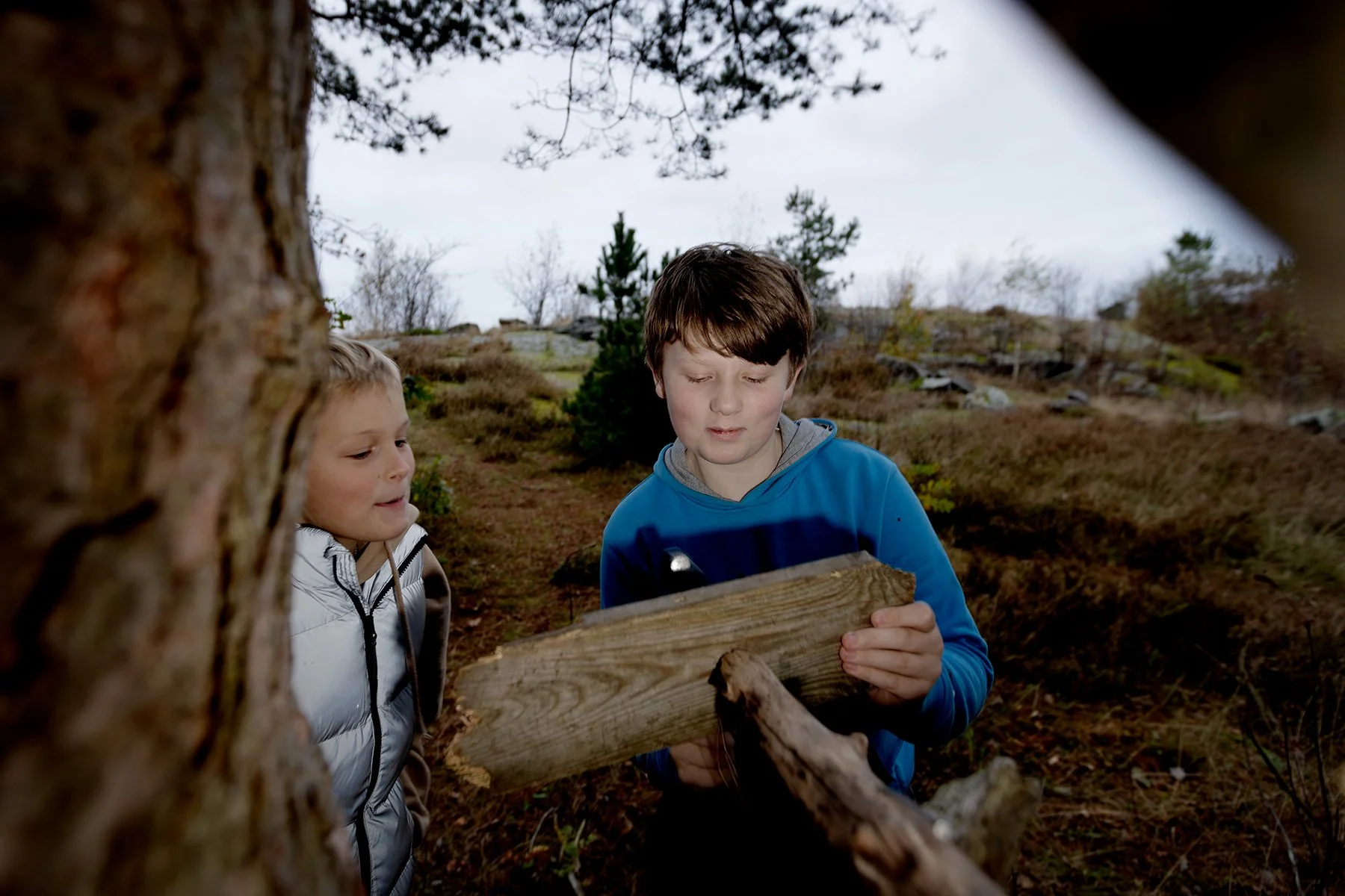 blogg-251015kojaiskolskogen11.jpg