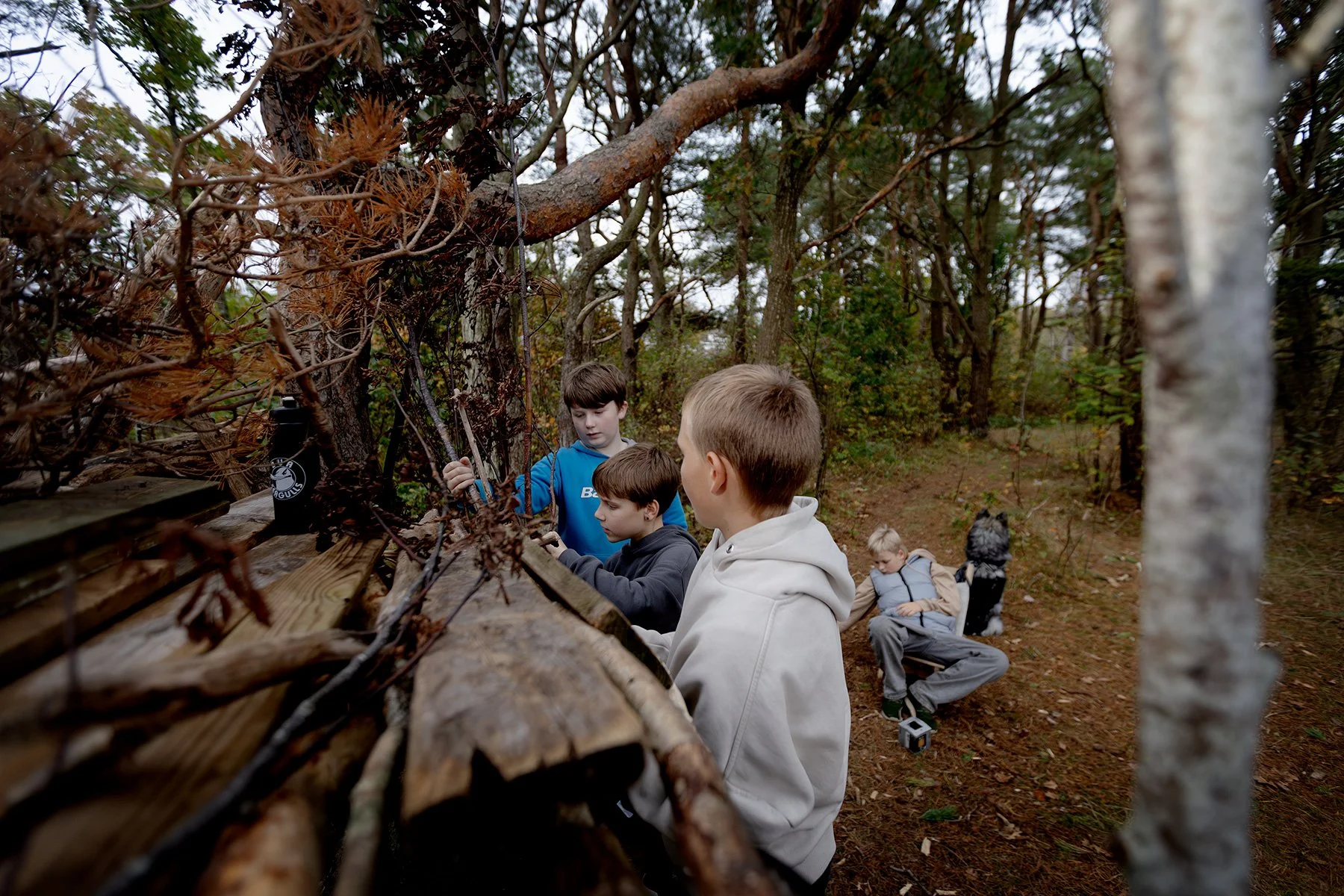 blogg-251015kojaiskolskogen10.jpg