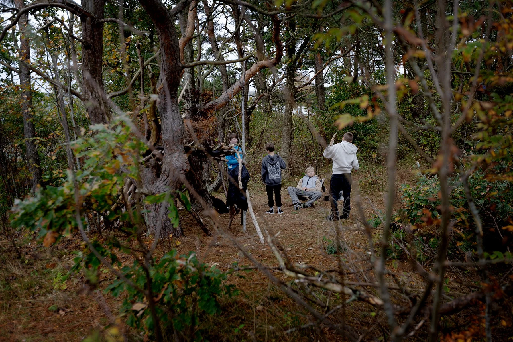 blogg-251015kojaiskolskogen12.jpg