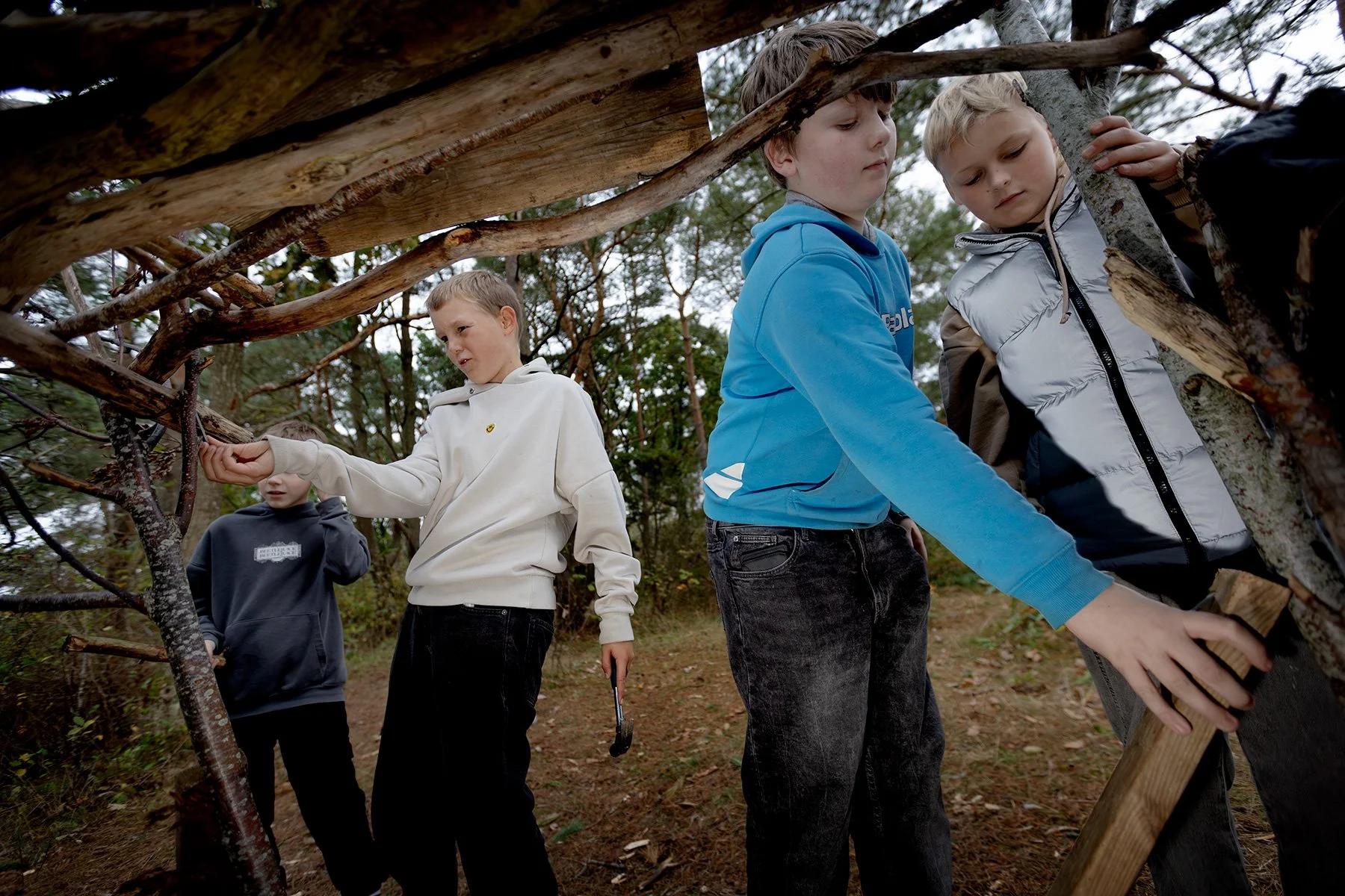 blogg-251015kojaiskolskogen13.jpg