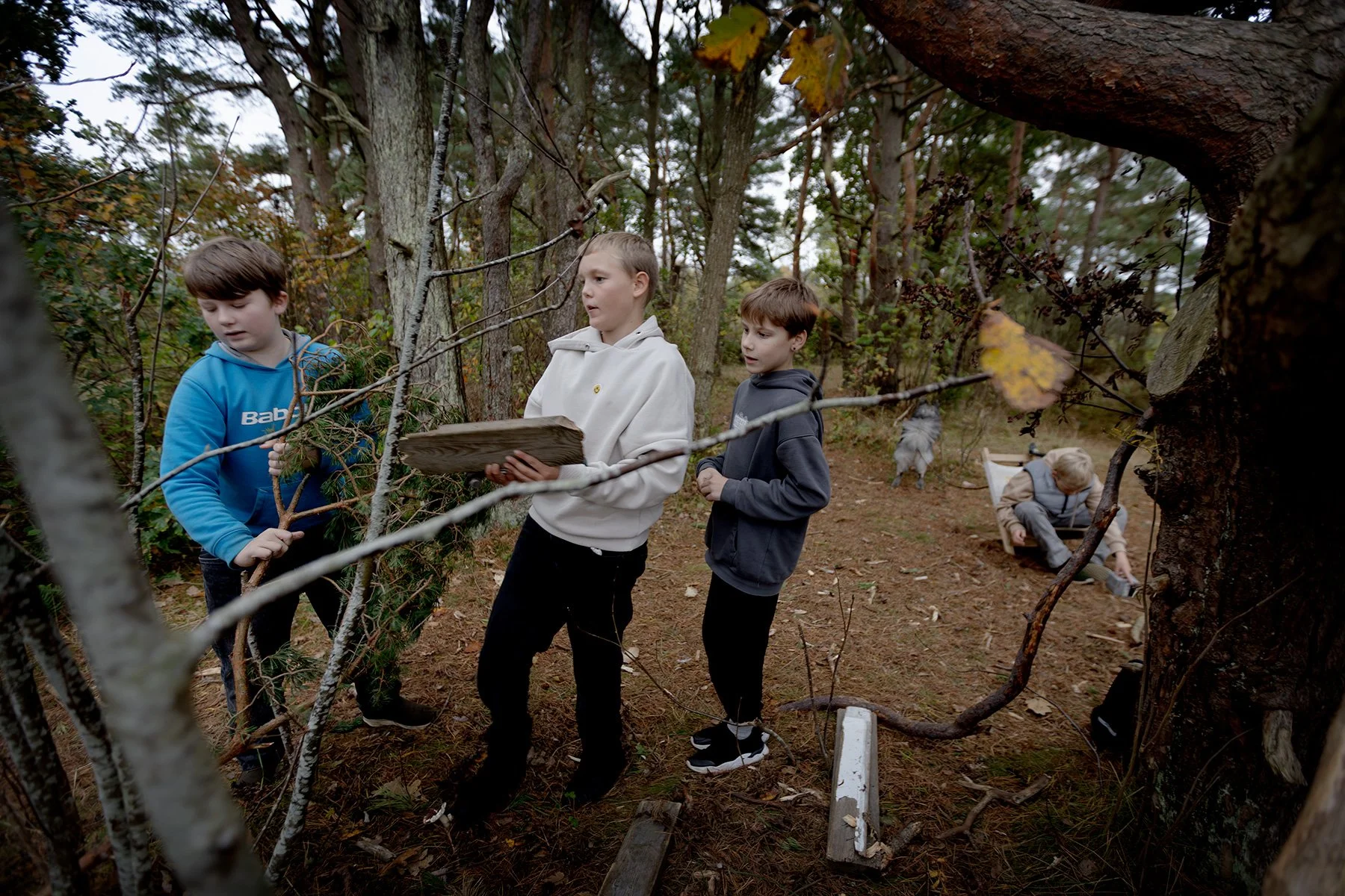 blogg-251015kojaiskolskogen15.jpg