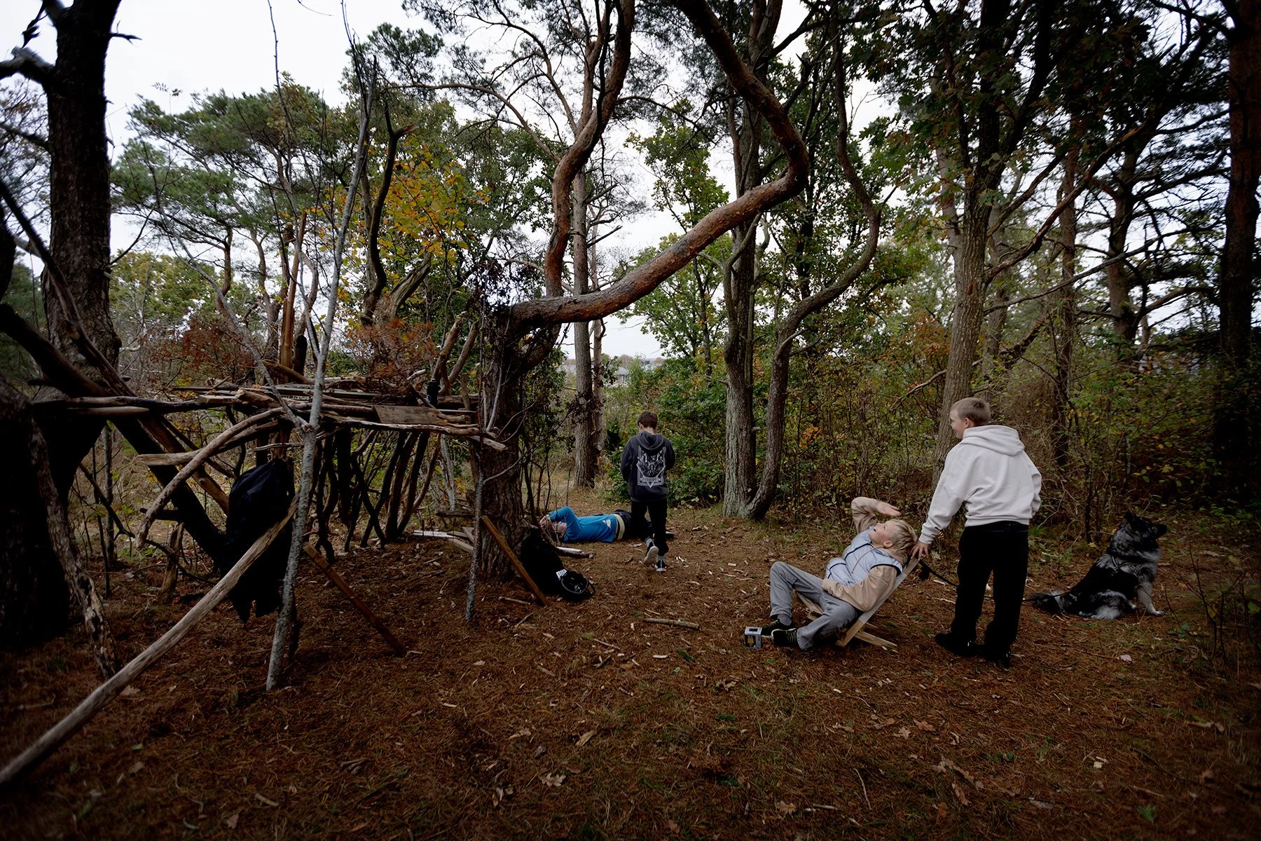 blogg-251015kojaiskolskogen16.jpg