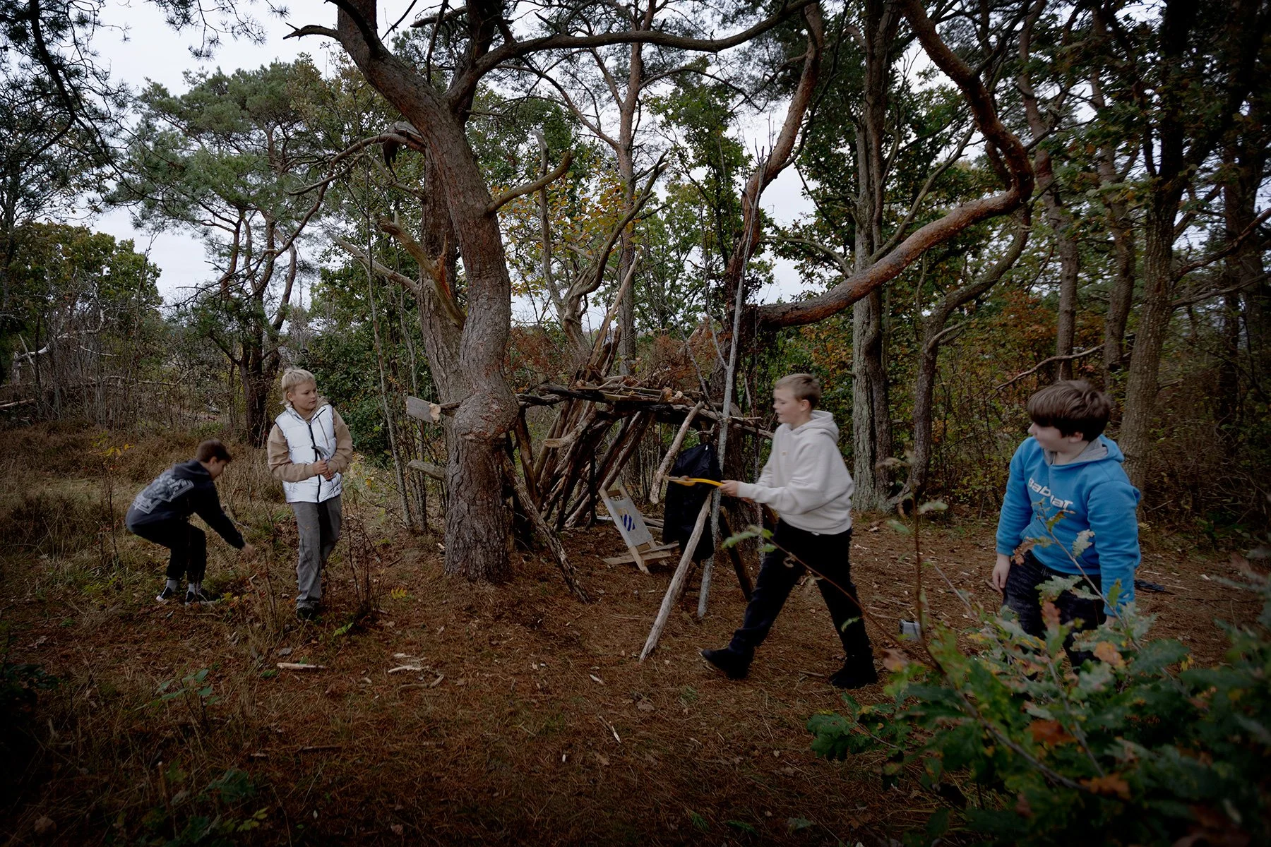 blogg-251015kojaiskolskogen18.jpg