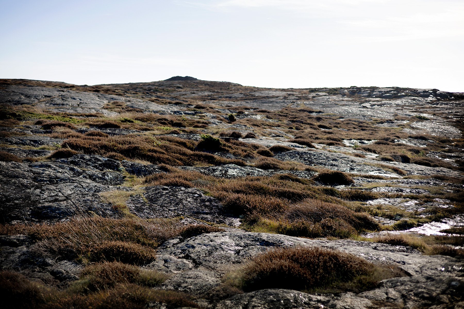 blogg-251016biskopshagen14.jpg