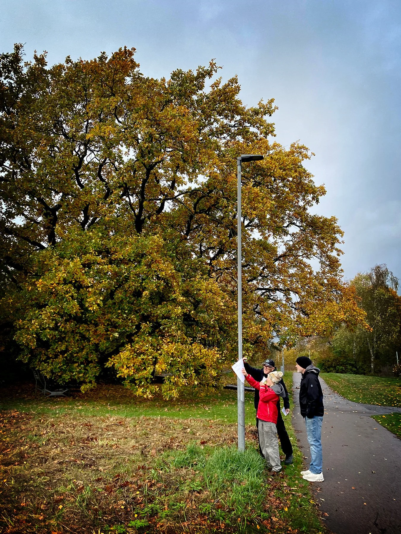 blogg-251026poangpromenad1.jpg