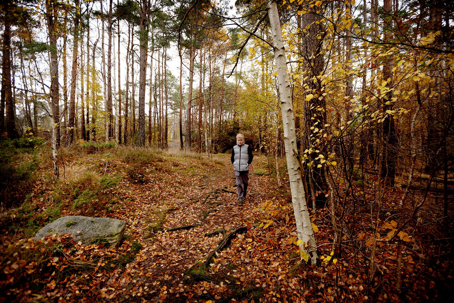 blogg-251027irenelarsbertil4.jpg