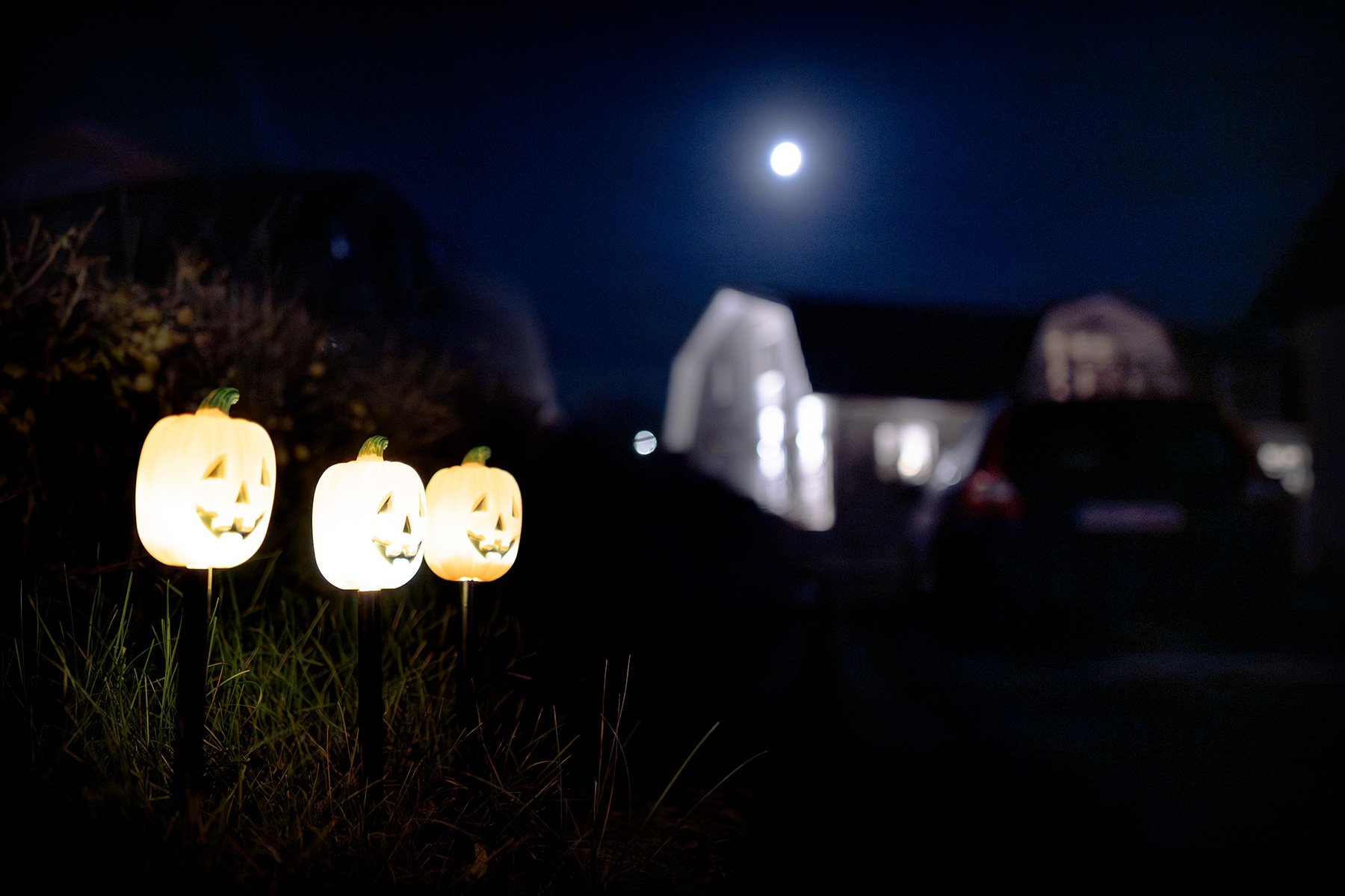 blogg-251030halloween11.jpg