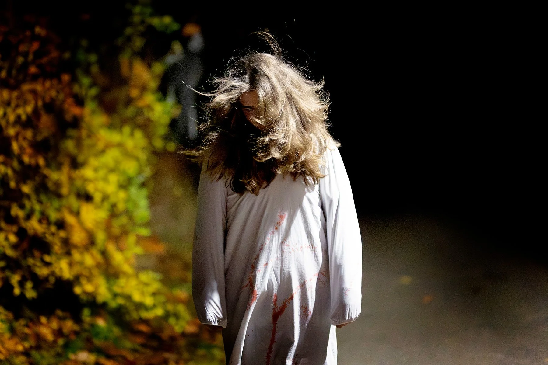 blogg-251101spokpromenad25.jpg