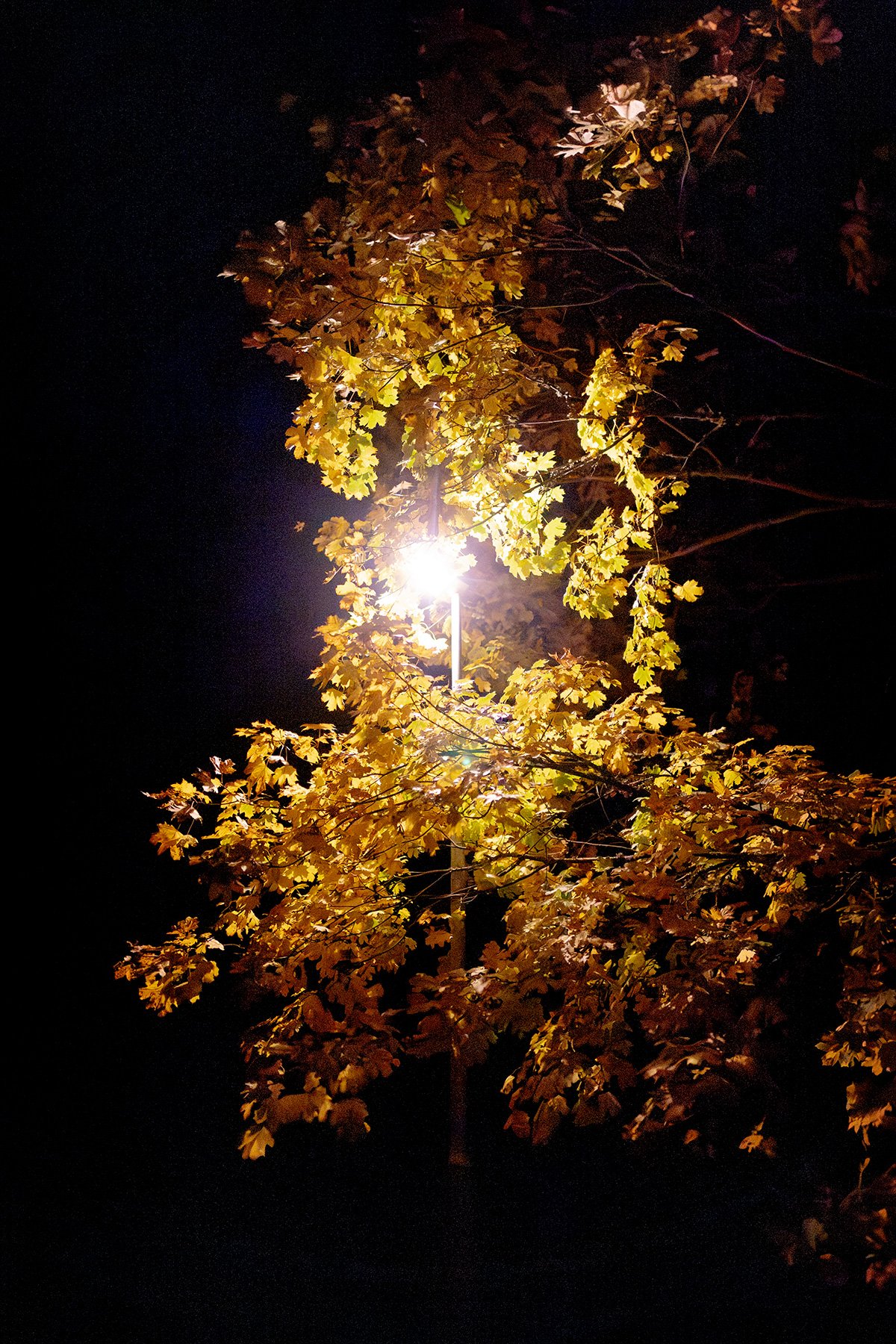 blogg-251101spokpromenad26.jpg