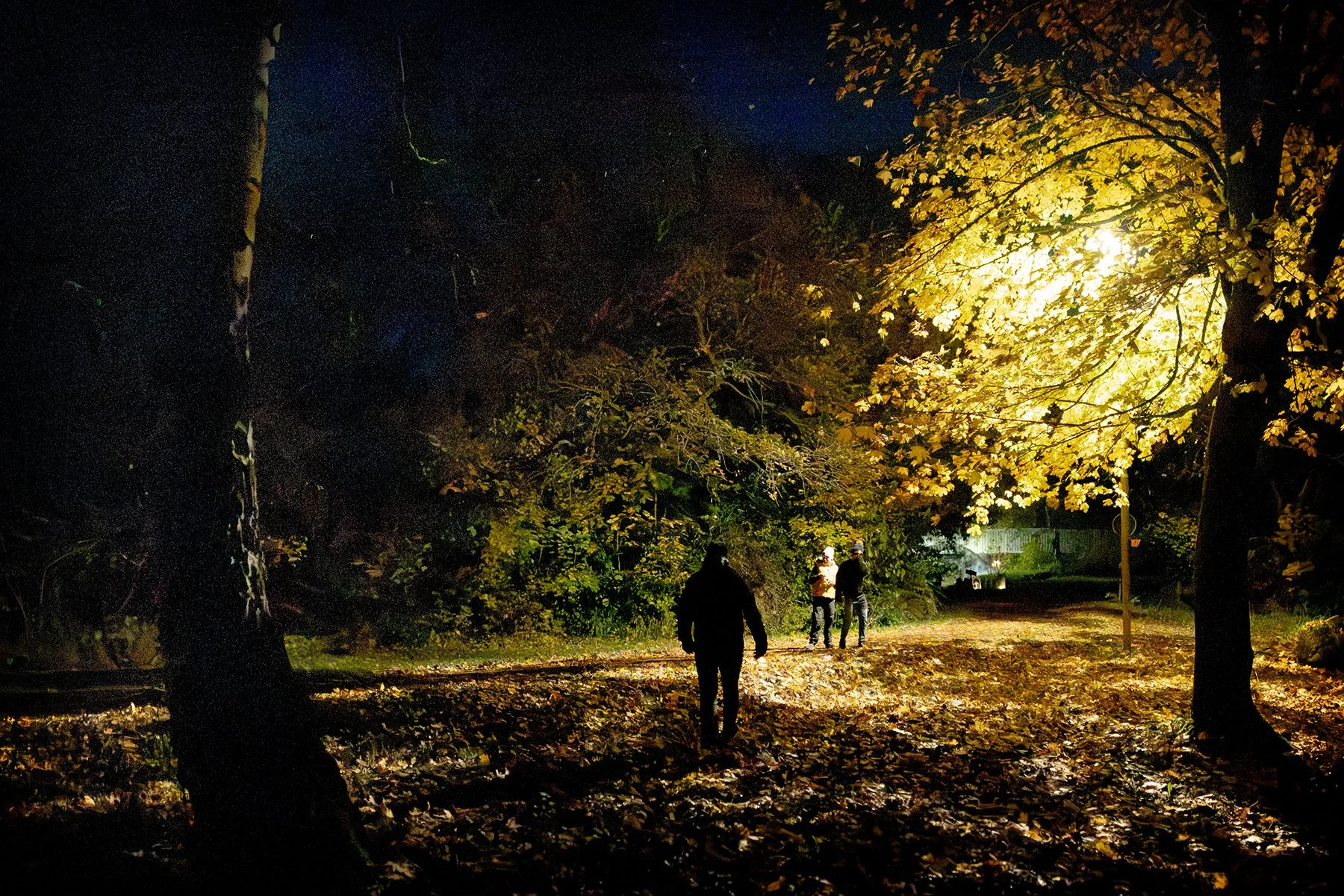 blogg-251101spokpromenad33.jpg