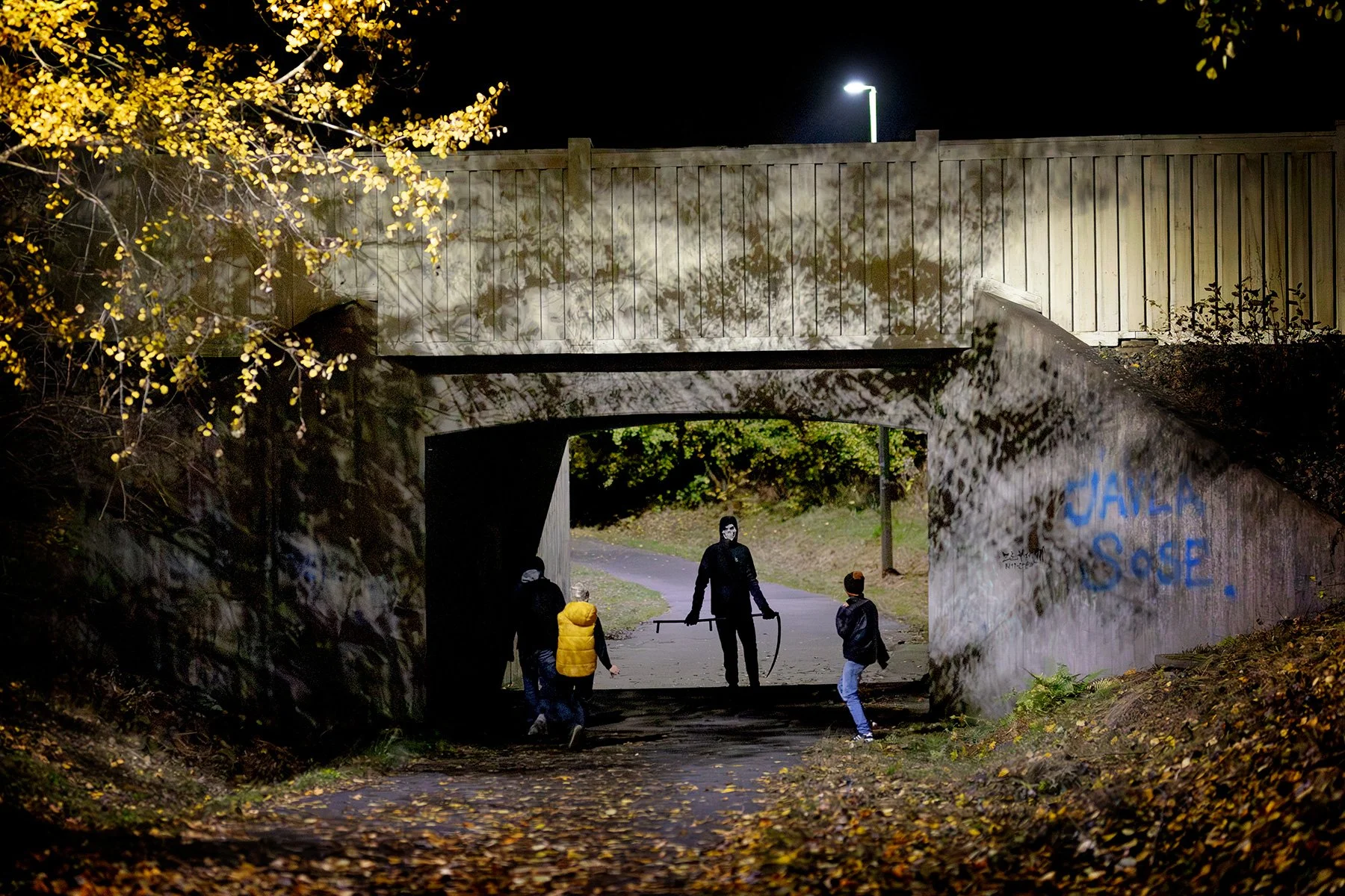 blogg-251101spokpromenad39.jpg