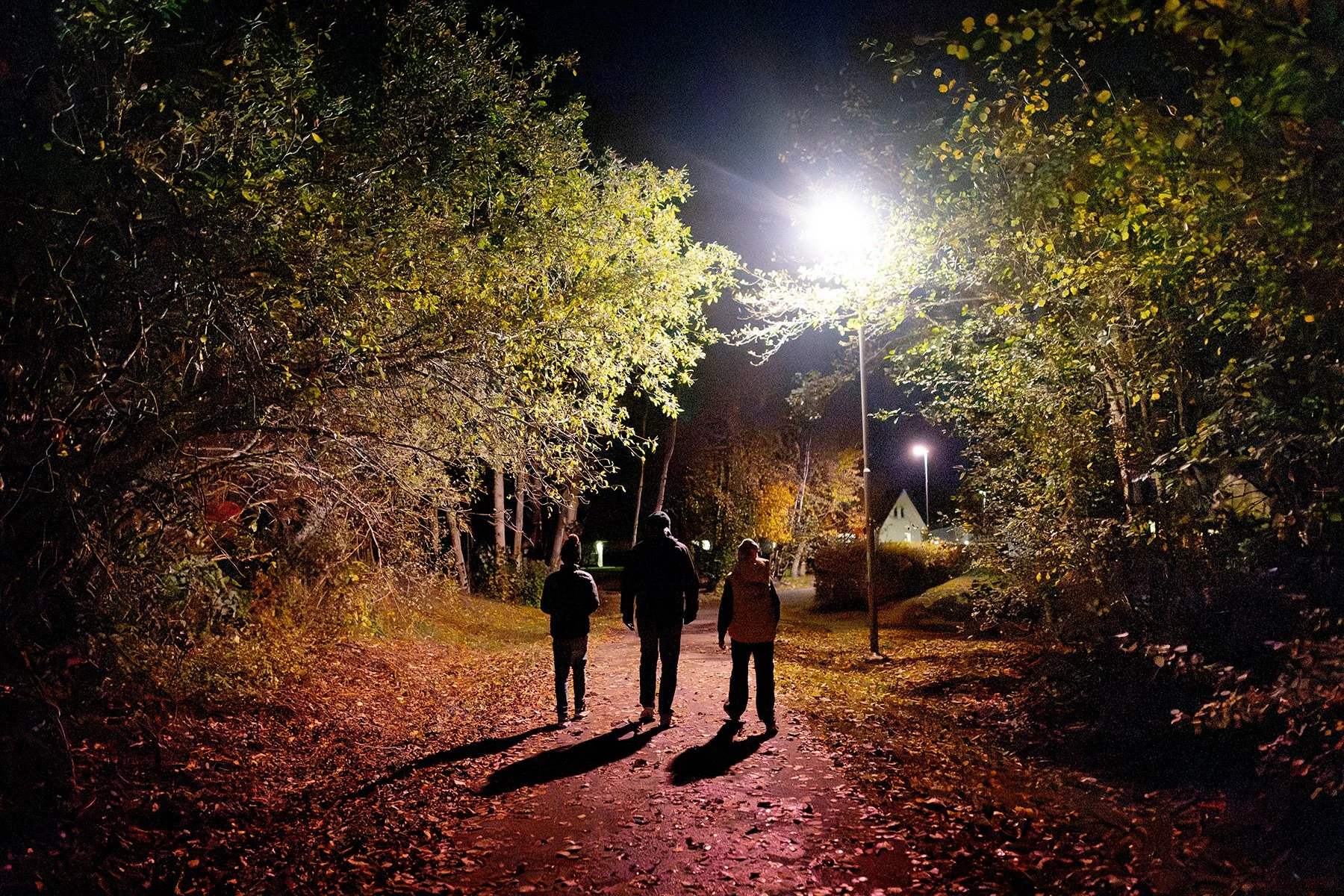 blogg-251101spokpromenad43.jpg