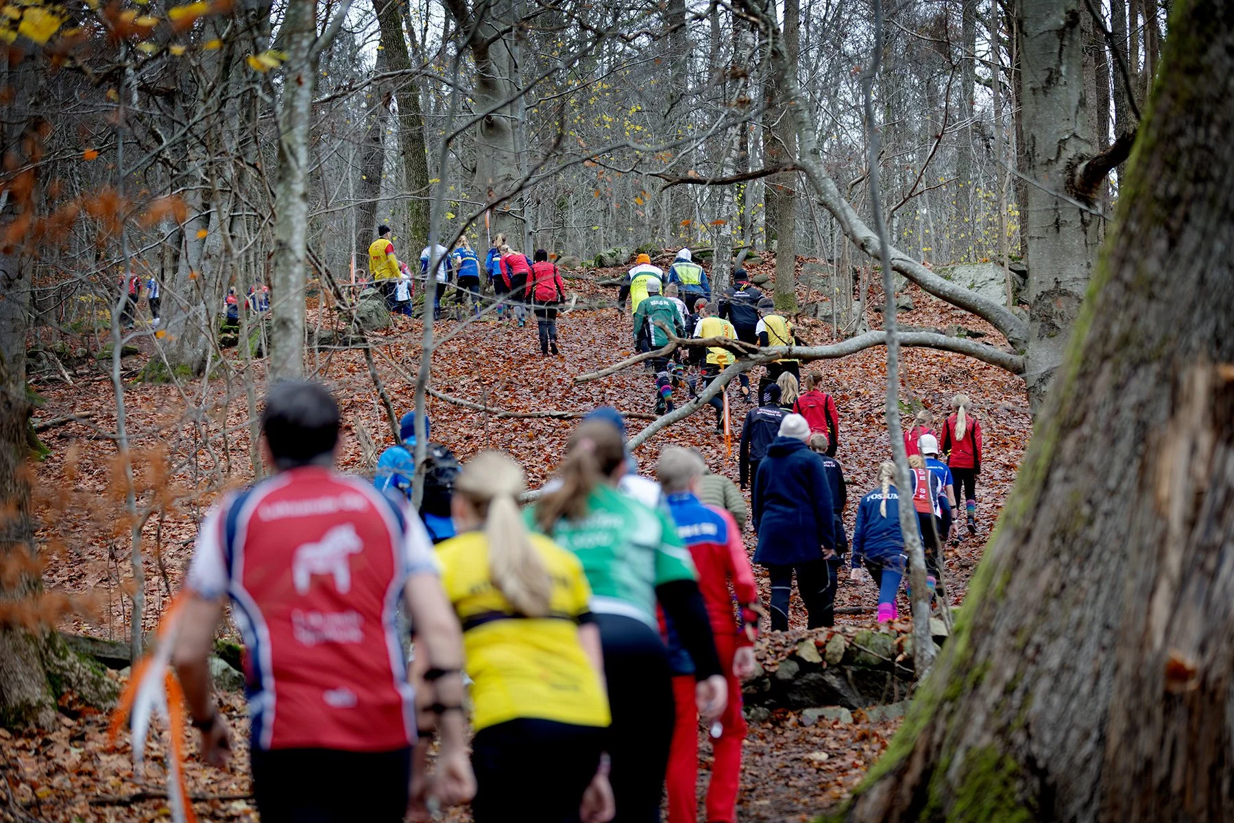 blogg-251108boras-downhill13.jpg