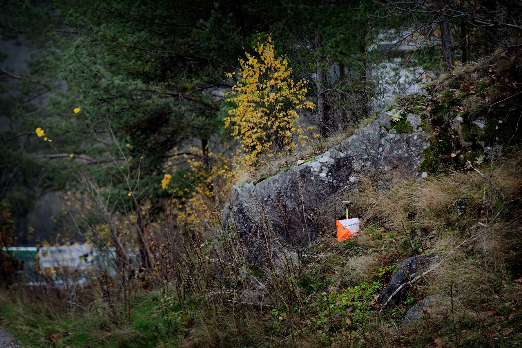 blogg-251108boras-downhill26.jpg