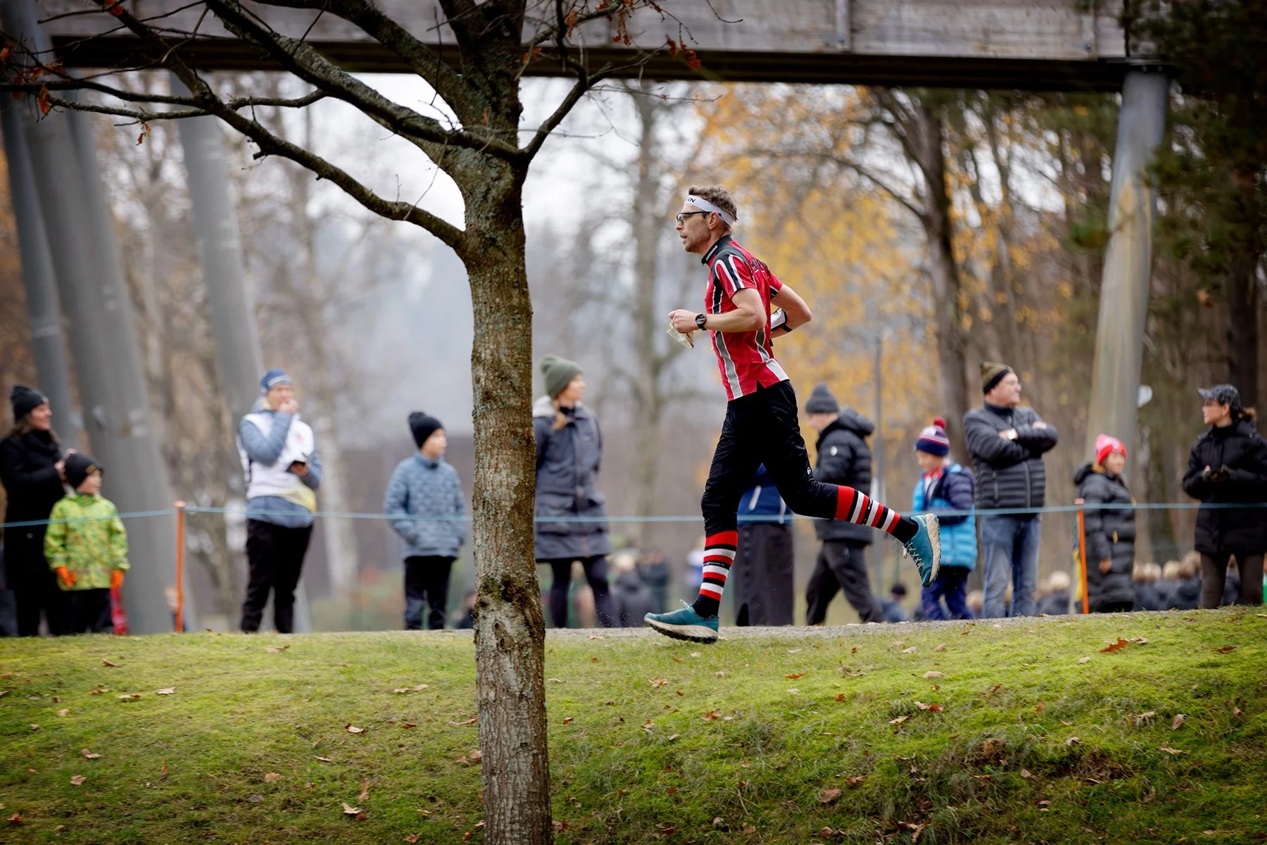 blogg-251109boras-zoo-ol11.jpg