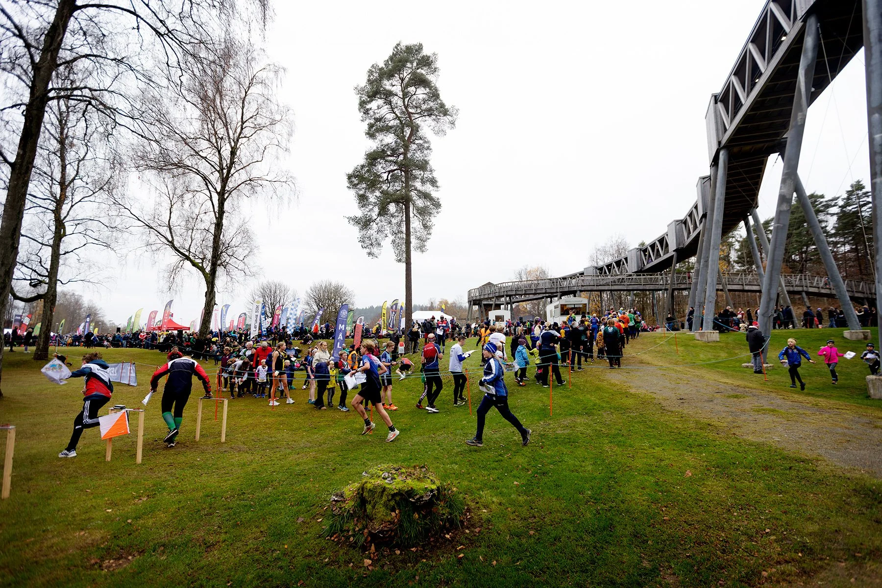 blogg-251109boras-zoo-ol14.jpg