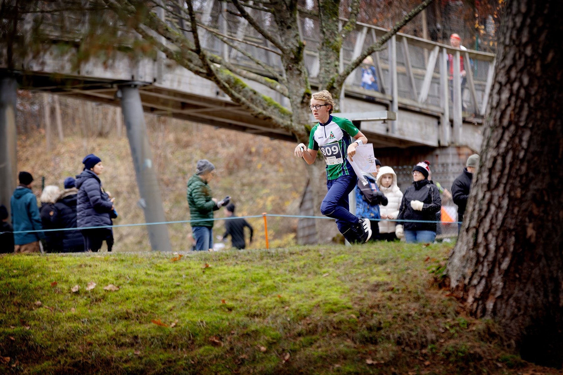 blogg-251109boras-zoo-ol16.jpg