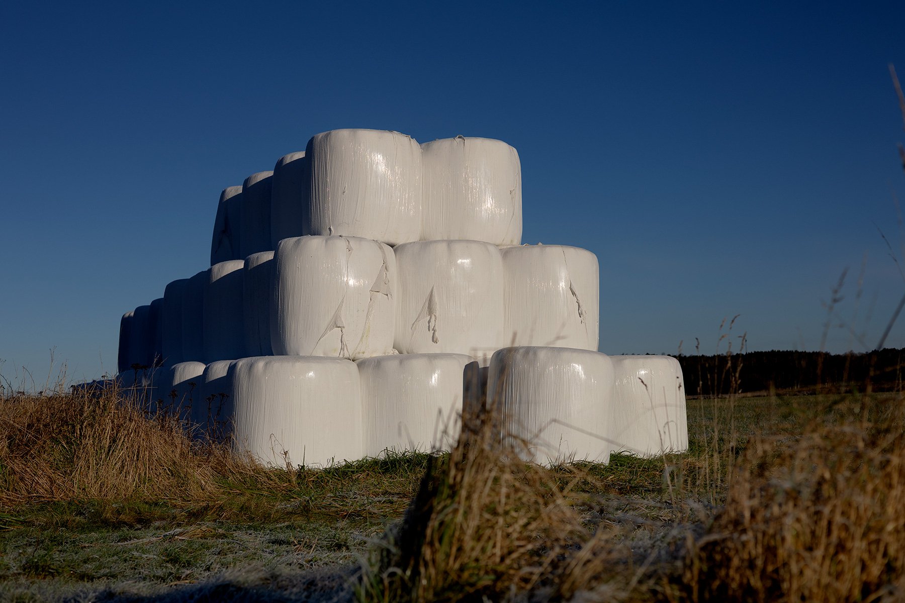 blogg-251115bale1.jpg