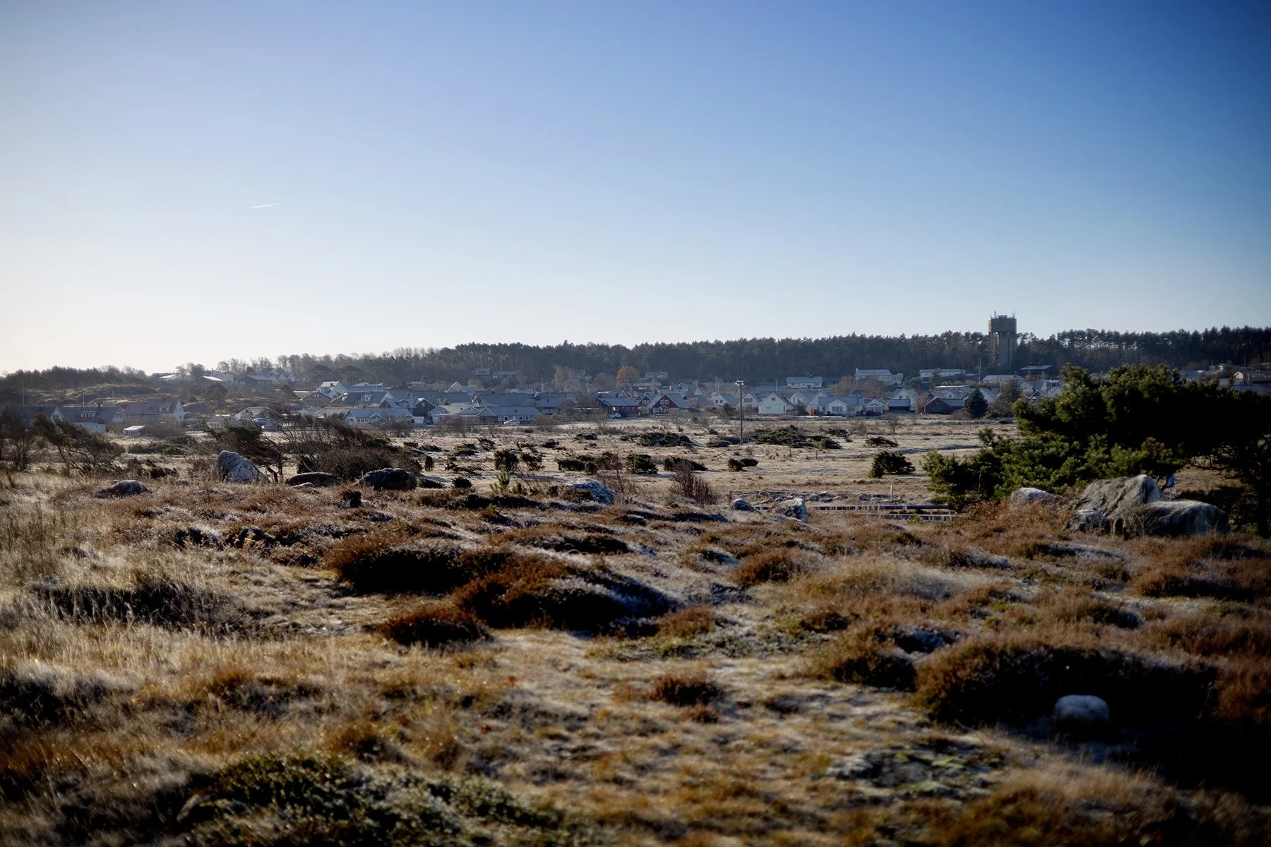 blogg-251115bale6.jpg