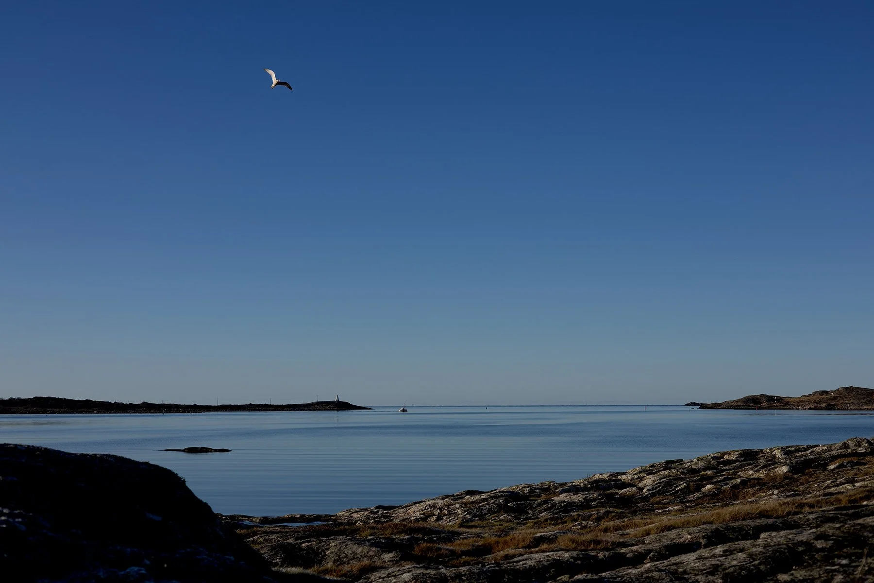blogg-251115bale8.jpg