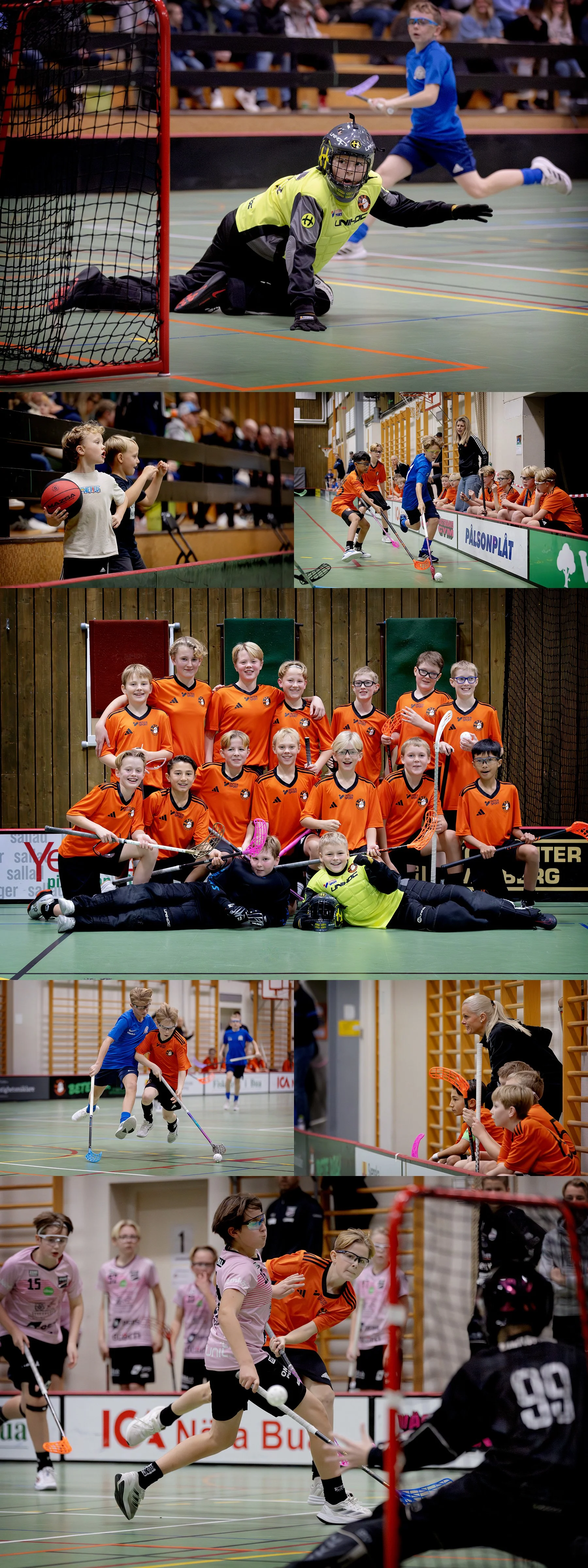 Innebandy-DM