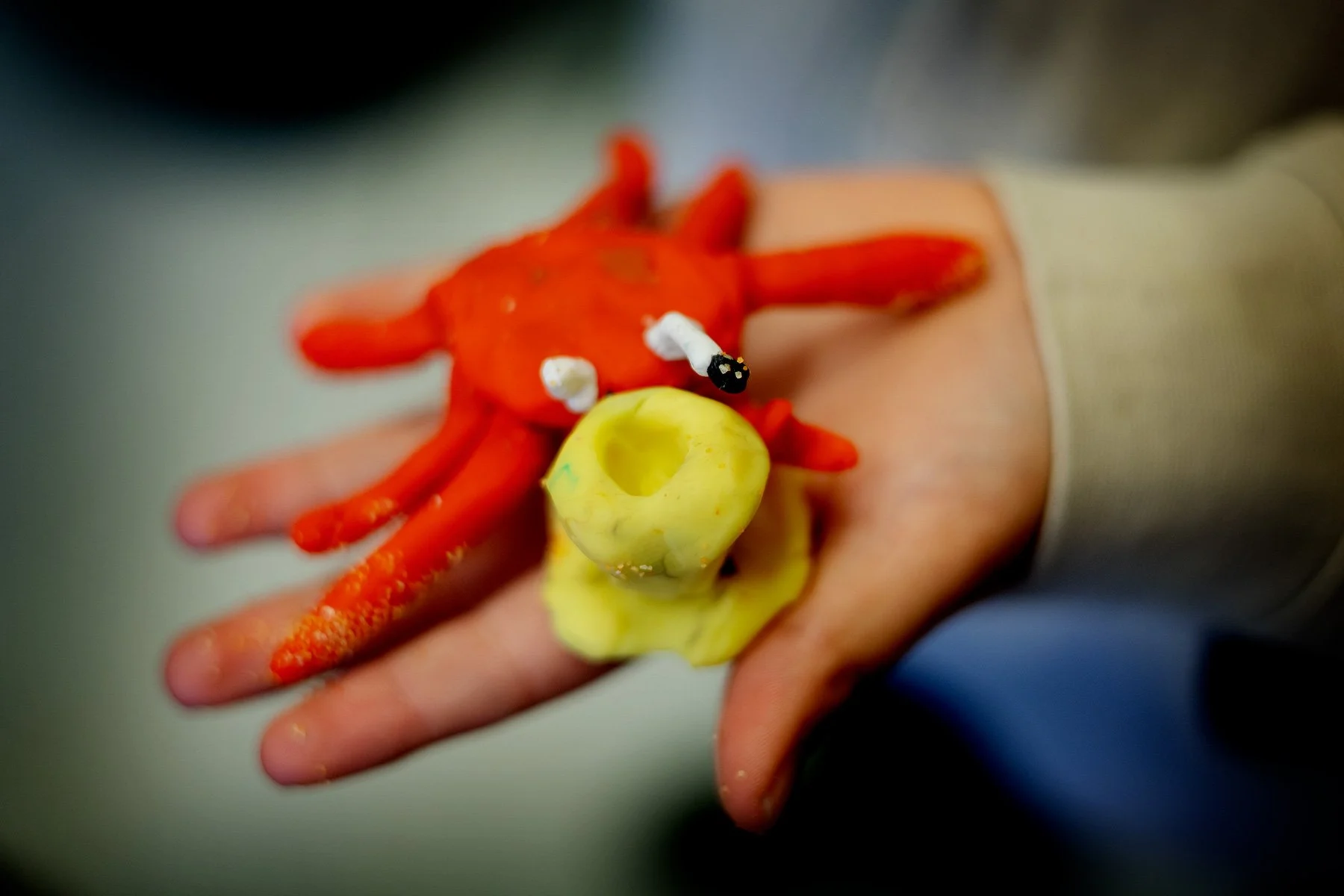 blogg-251119stopmotion3.jpg