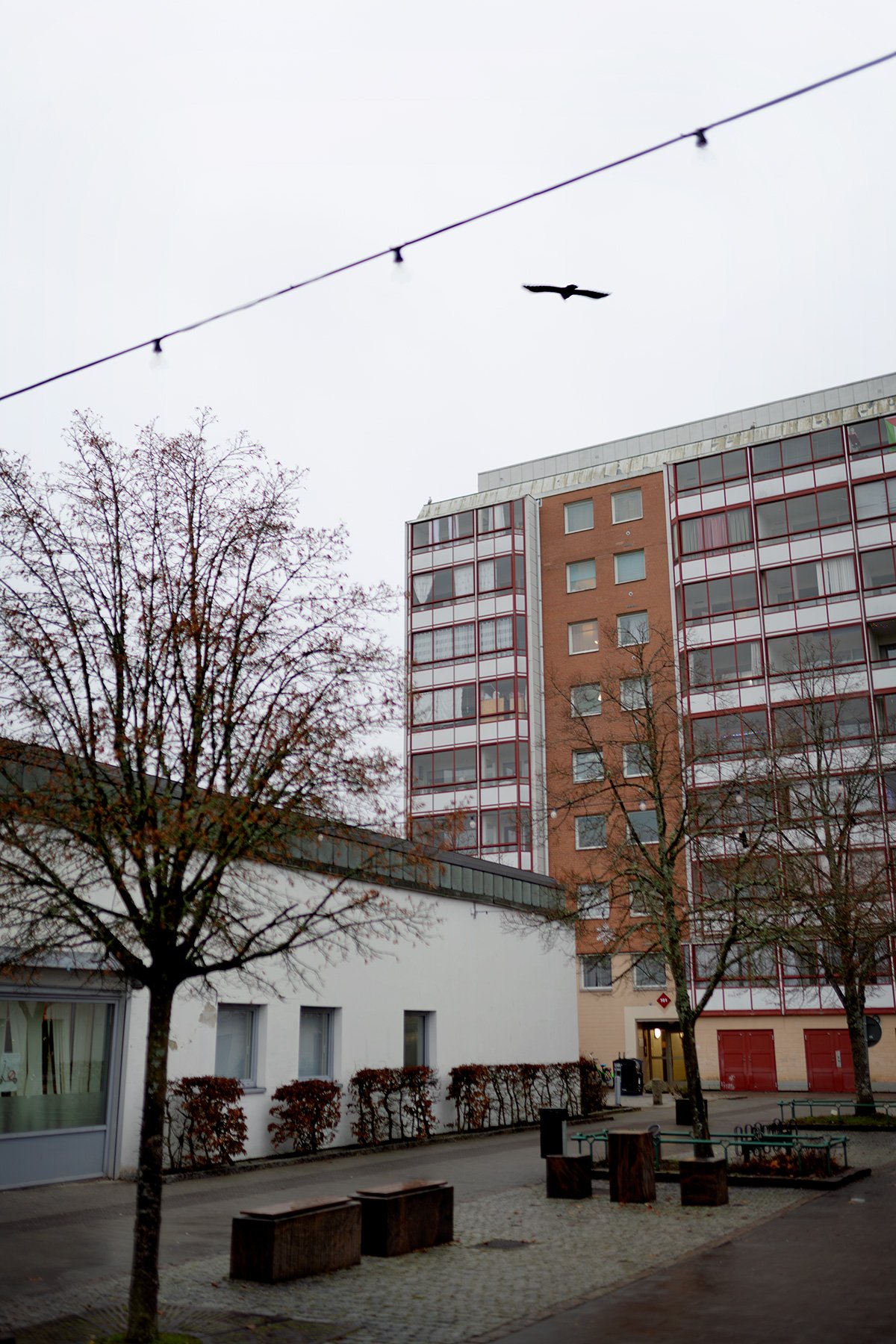blogg-251204ab-andersberg1.jpg