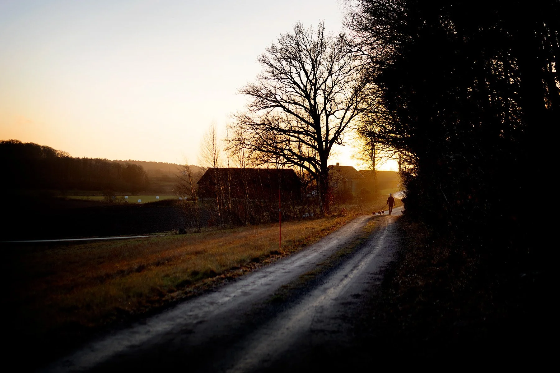 blogg-251213granhuggning1.jpg