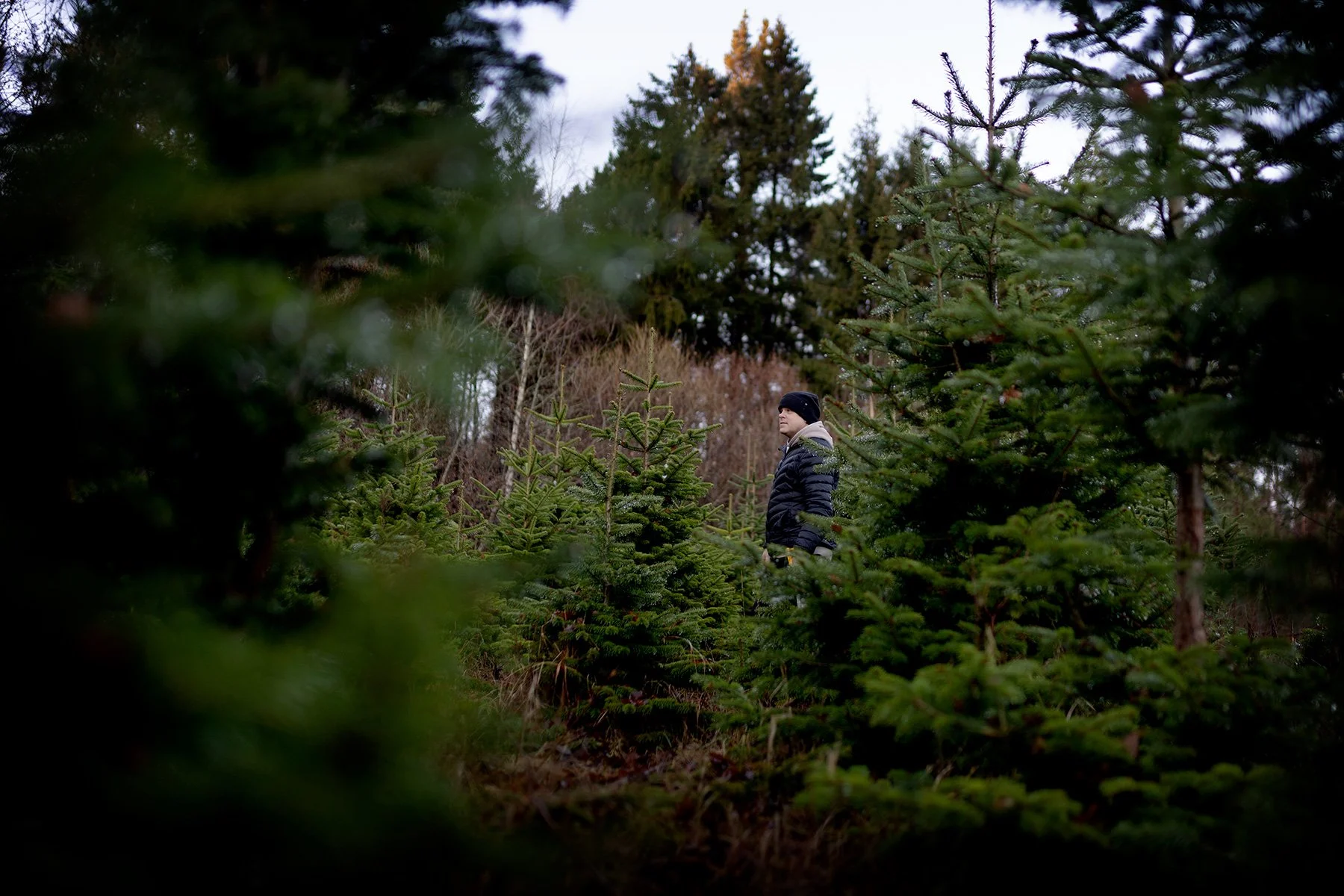 blogg-251213granhuggning4.jpg