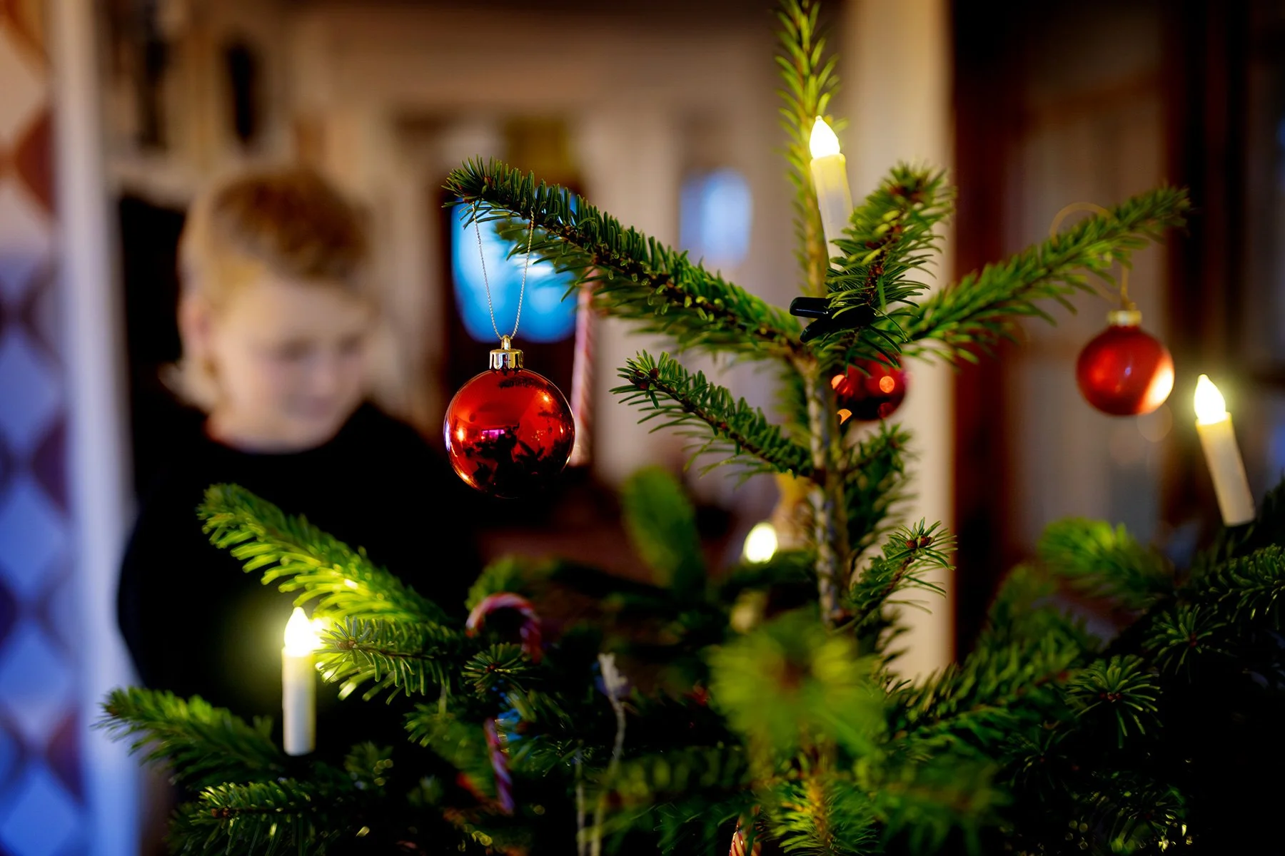 blogg-1251214rubenkalas10.jpg