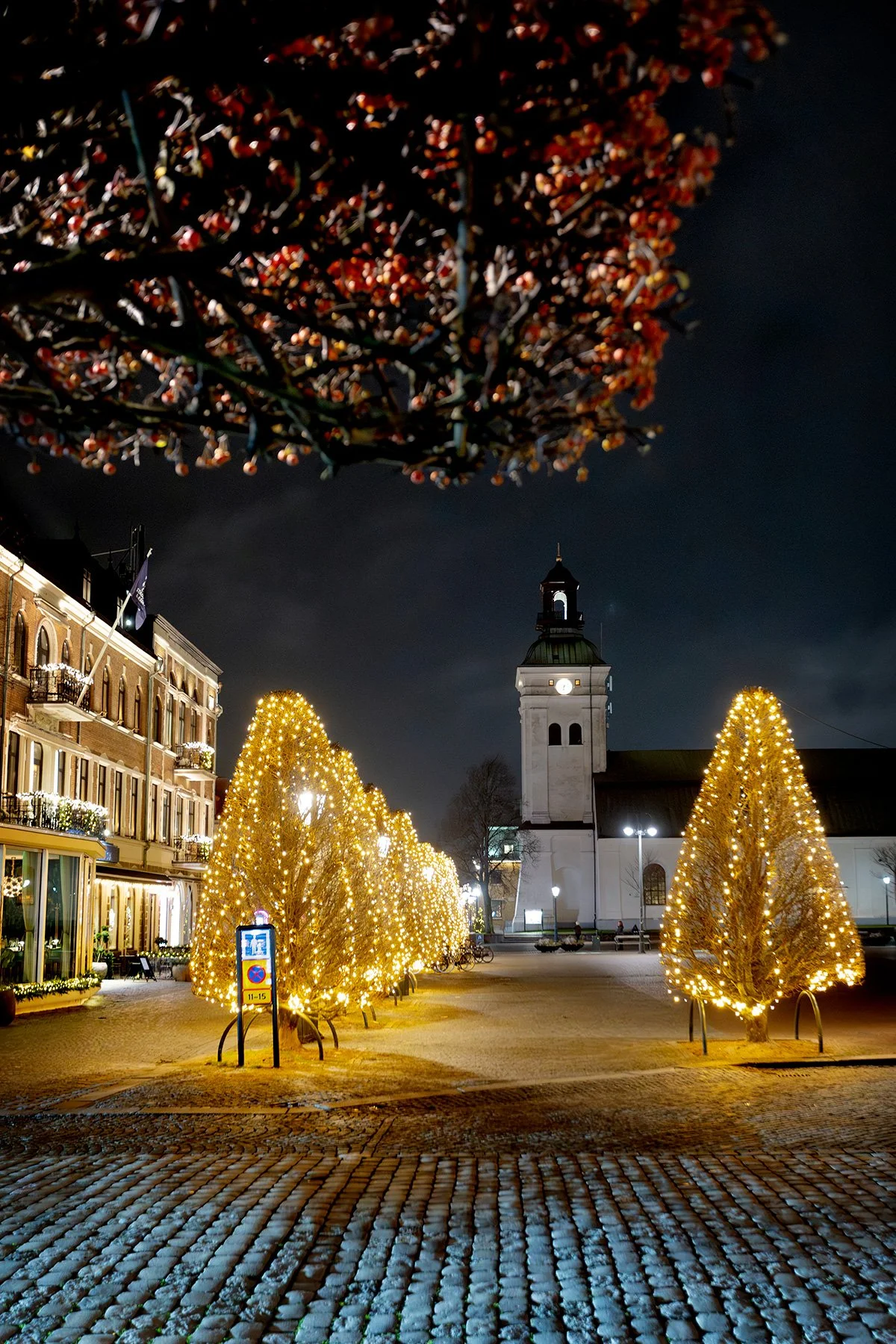 blogg-251215julparosenfred23.jpg