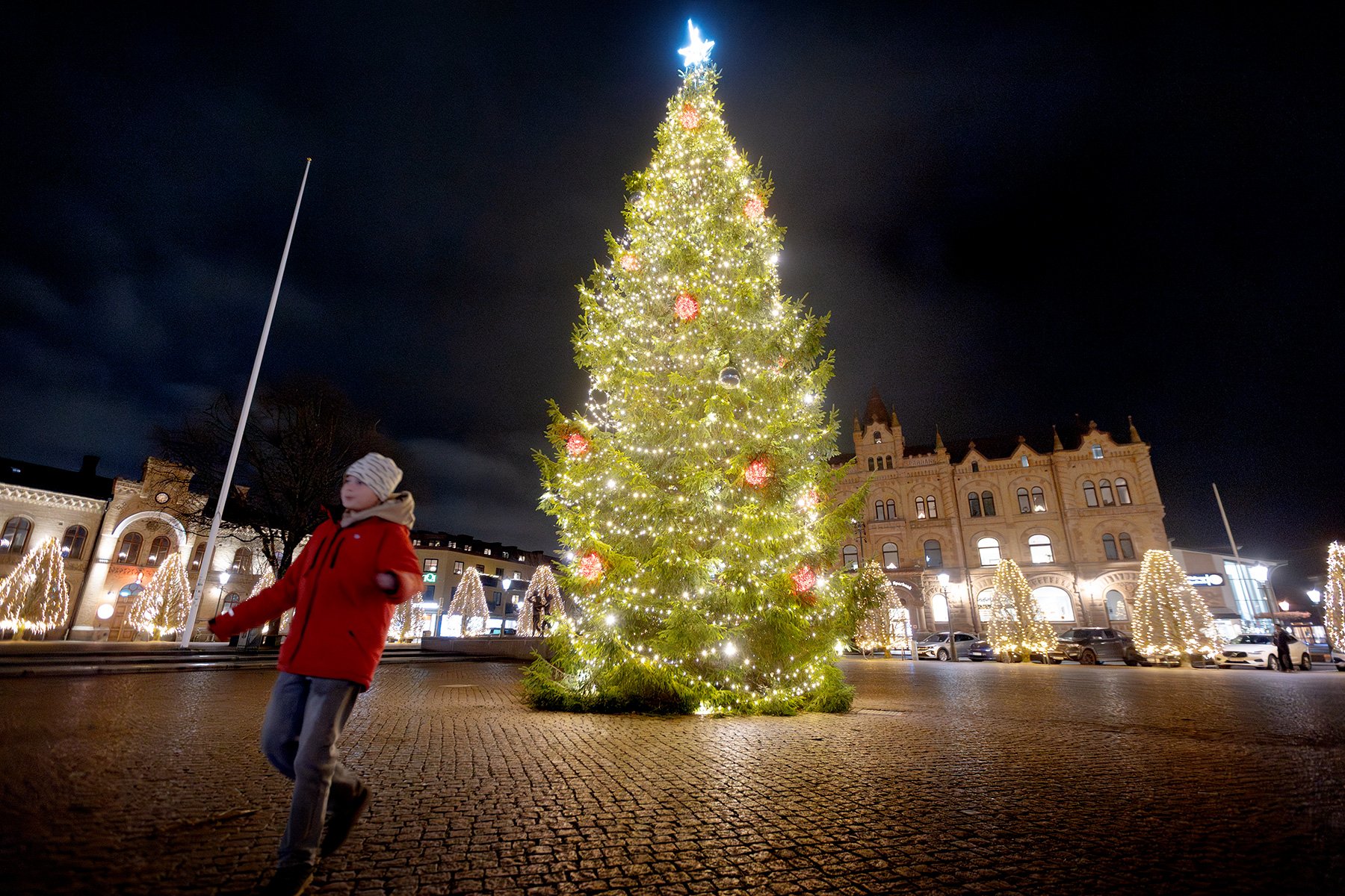 blogg-251215julparosenfred24.jpg