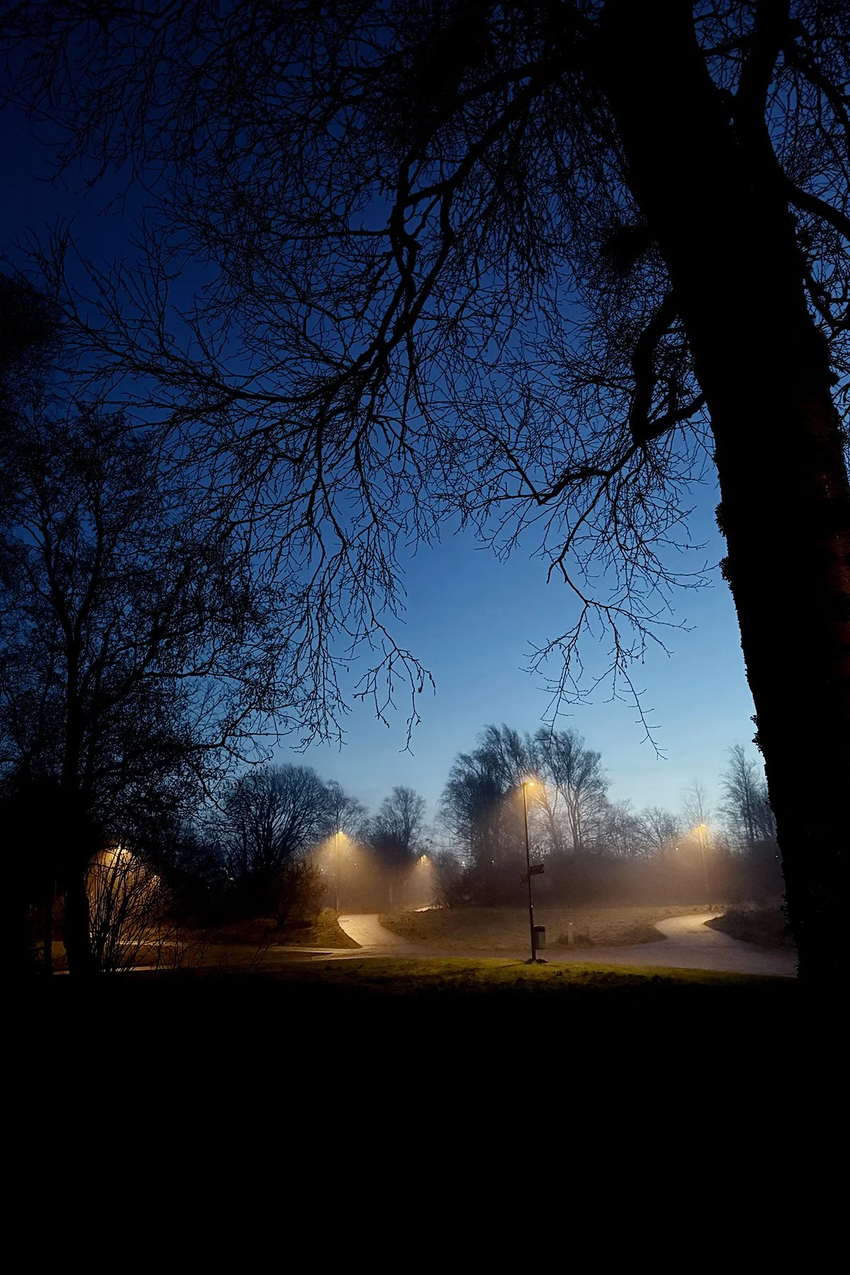 blogg-251217buahamndimma2.jpg