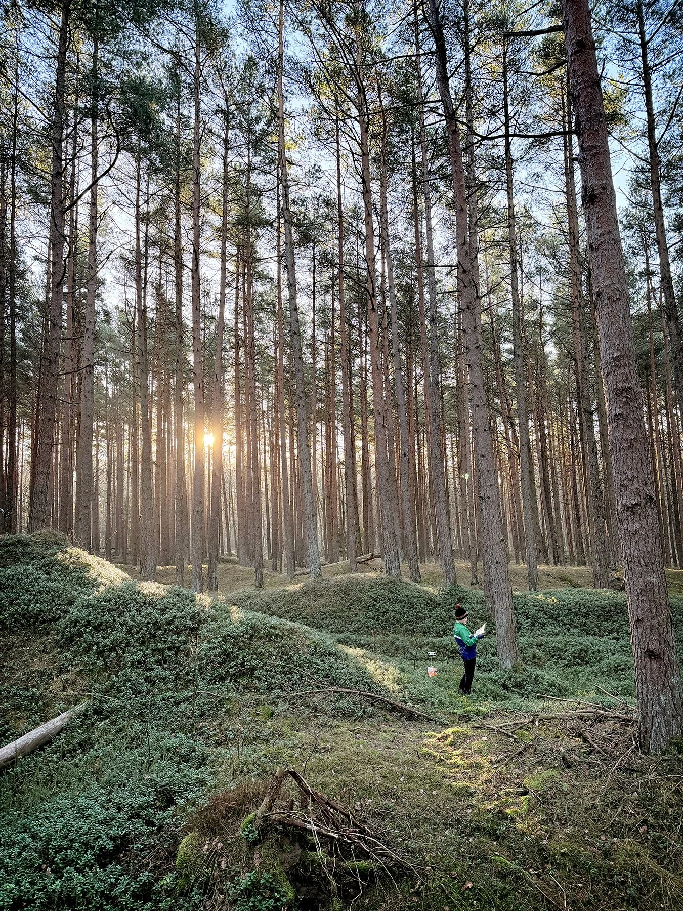 Orientering i Skummeslövsstrand