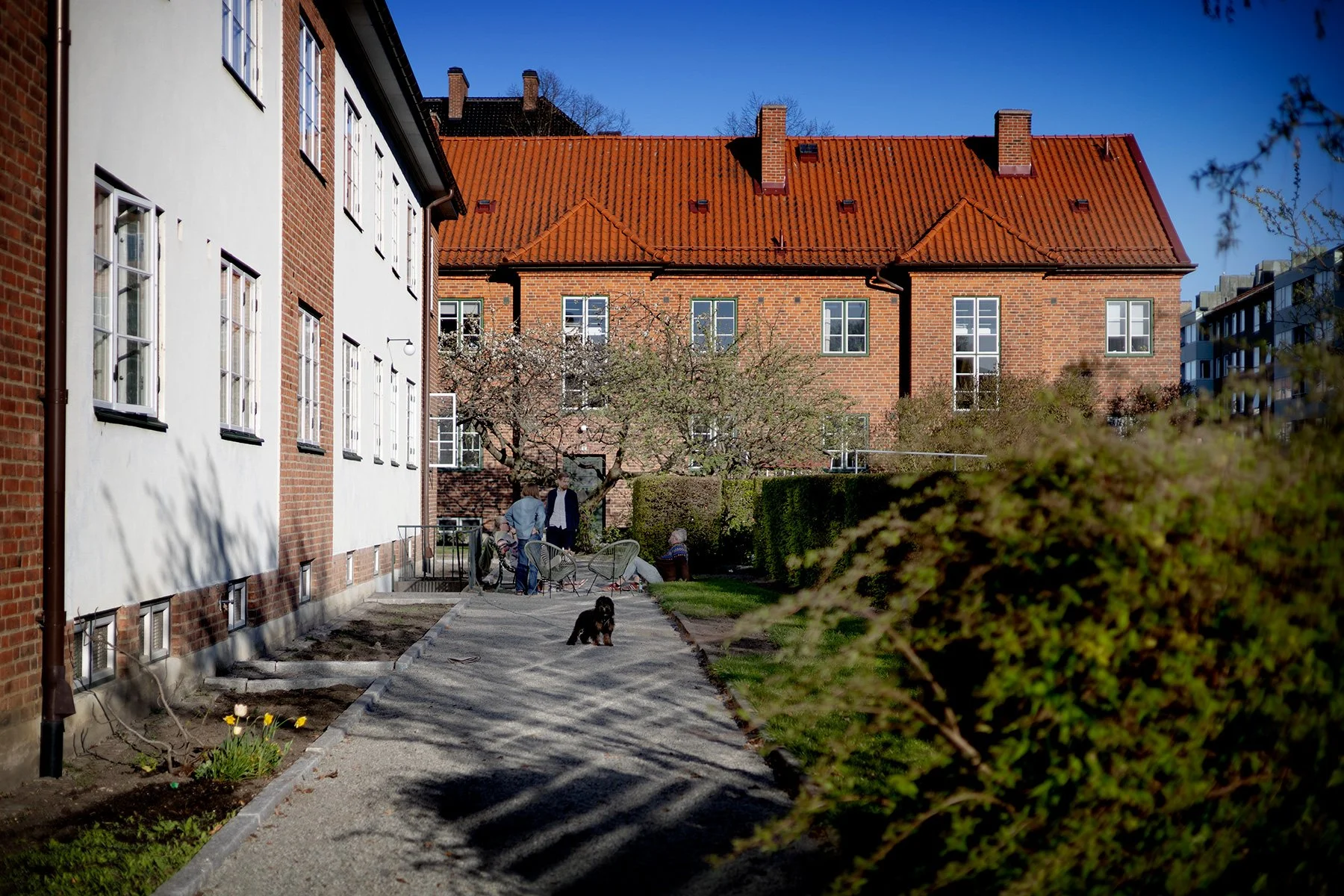 blogg-260424emilemma1.jpg