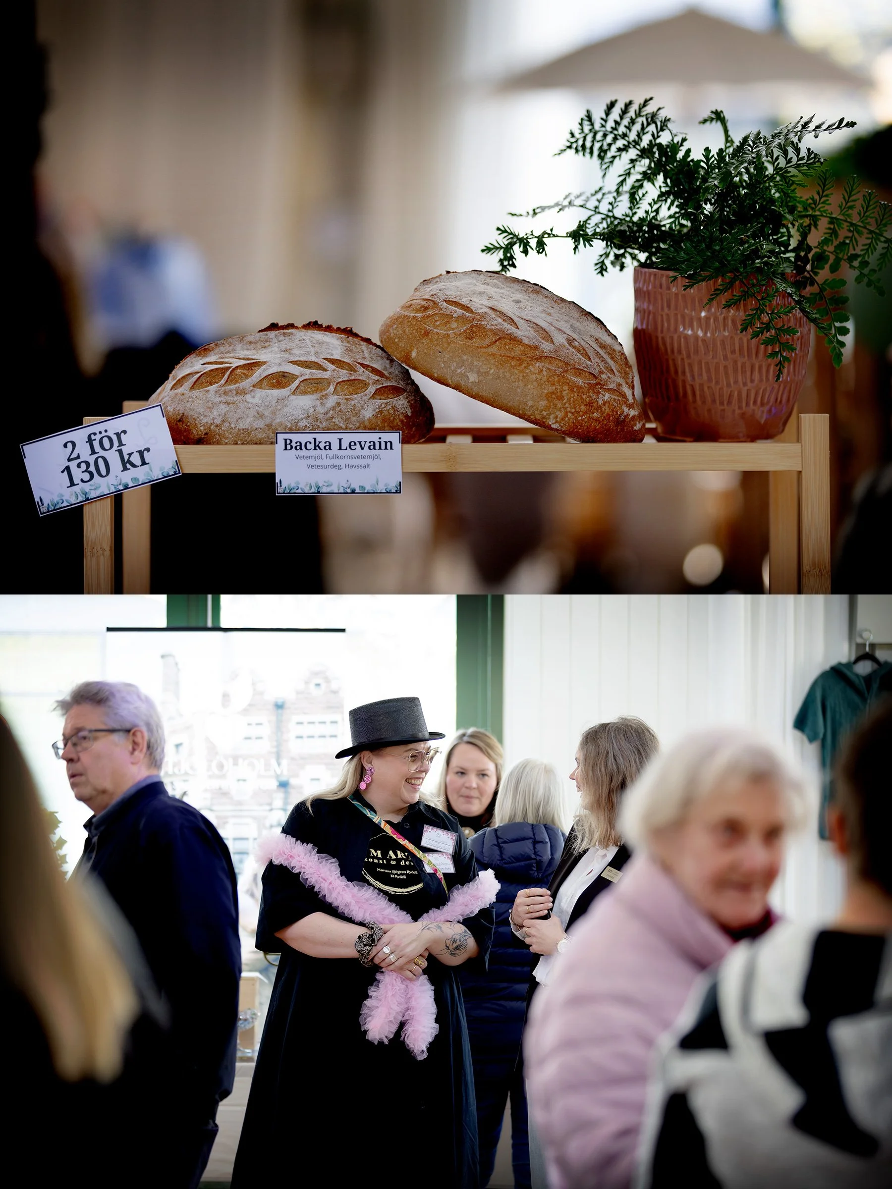 Norr om Varberg-kalaset