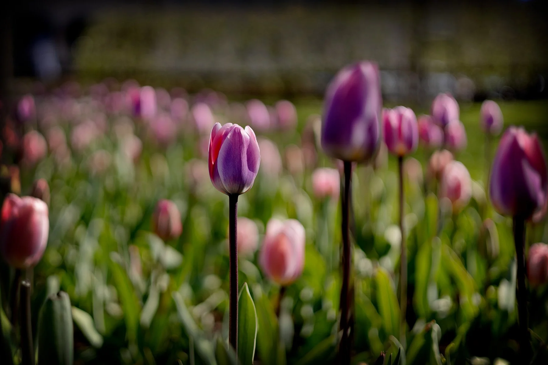 blogg-260429varberg-hittaut3.jpg