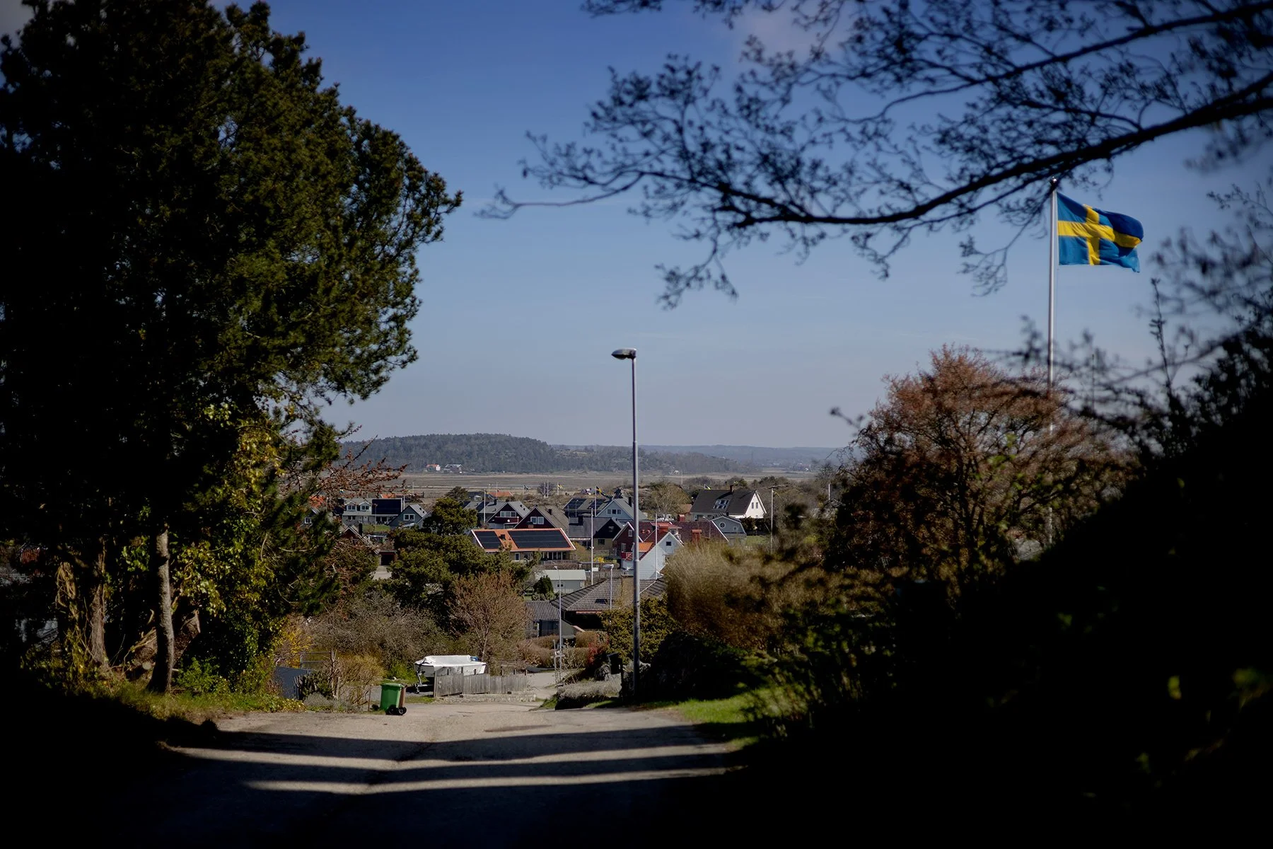 blogg-260430buaskogenvitsippor2.jpg