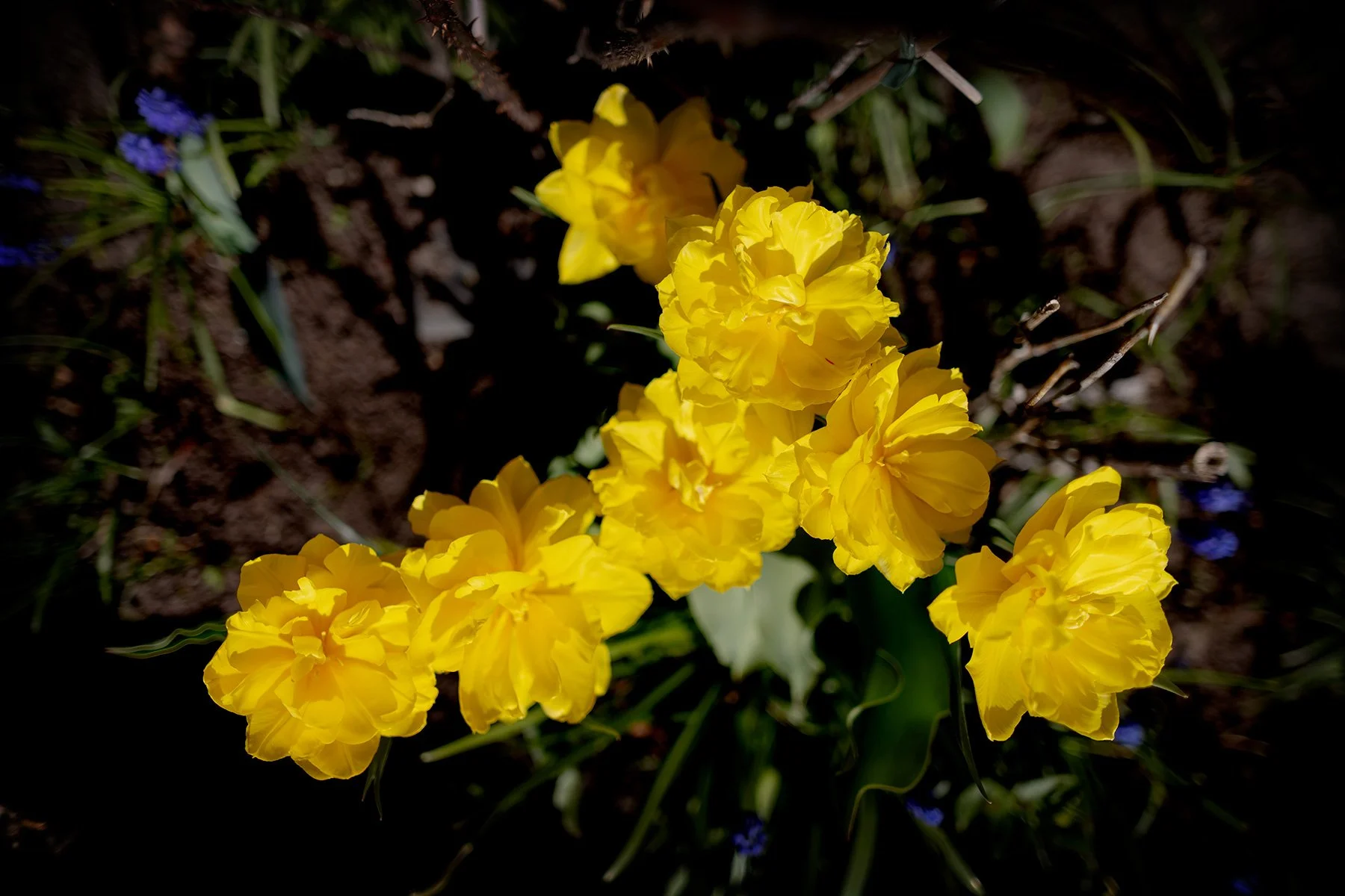 blogg-260501utefrukost8.jpg