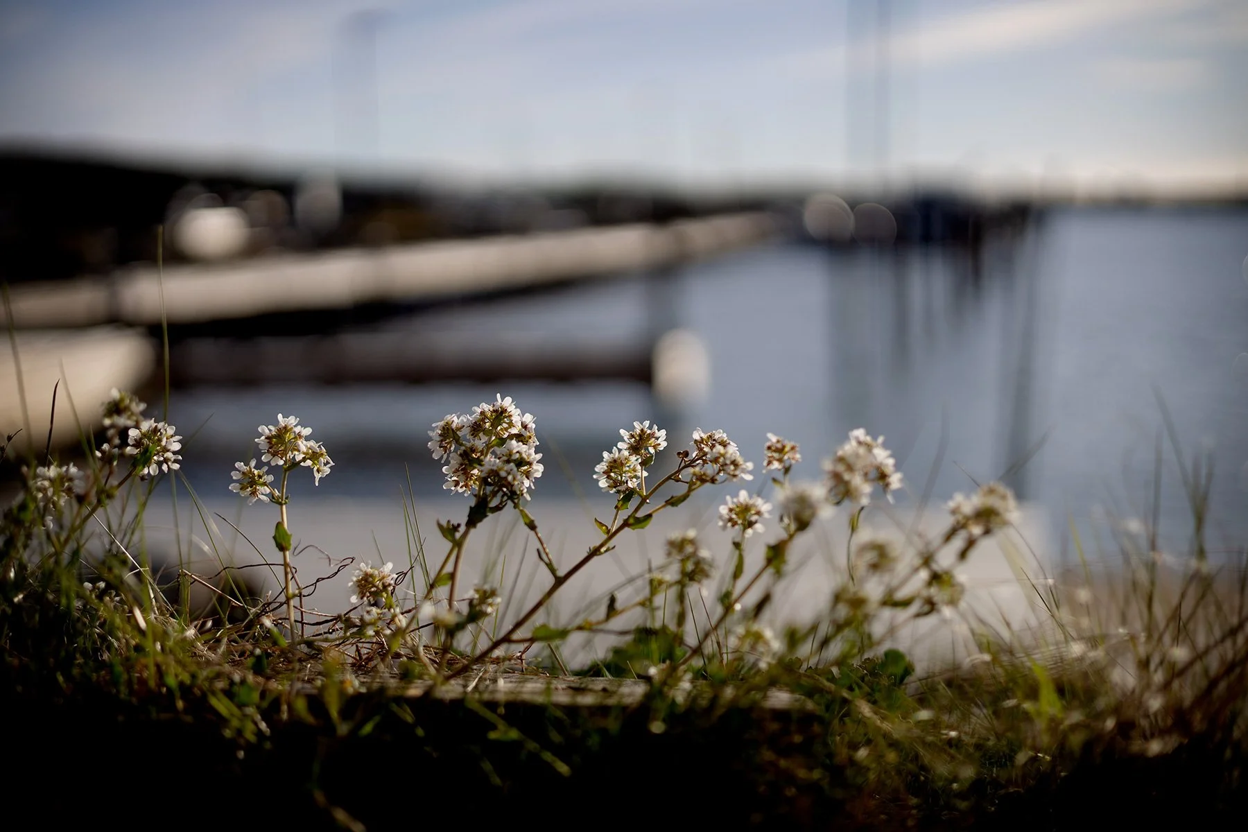 blogg-260506-batfix-hamnen-3.jpg