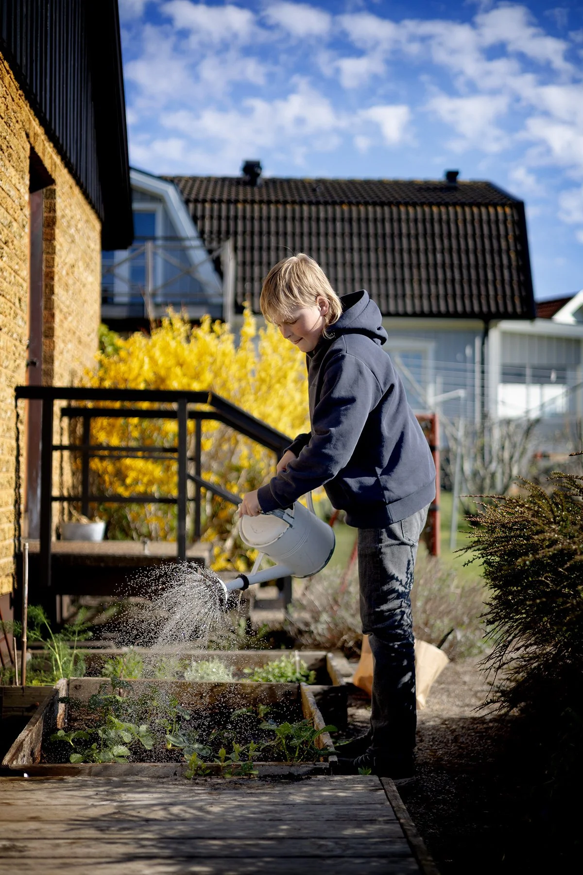 Trädgårdsmästaren